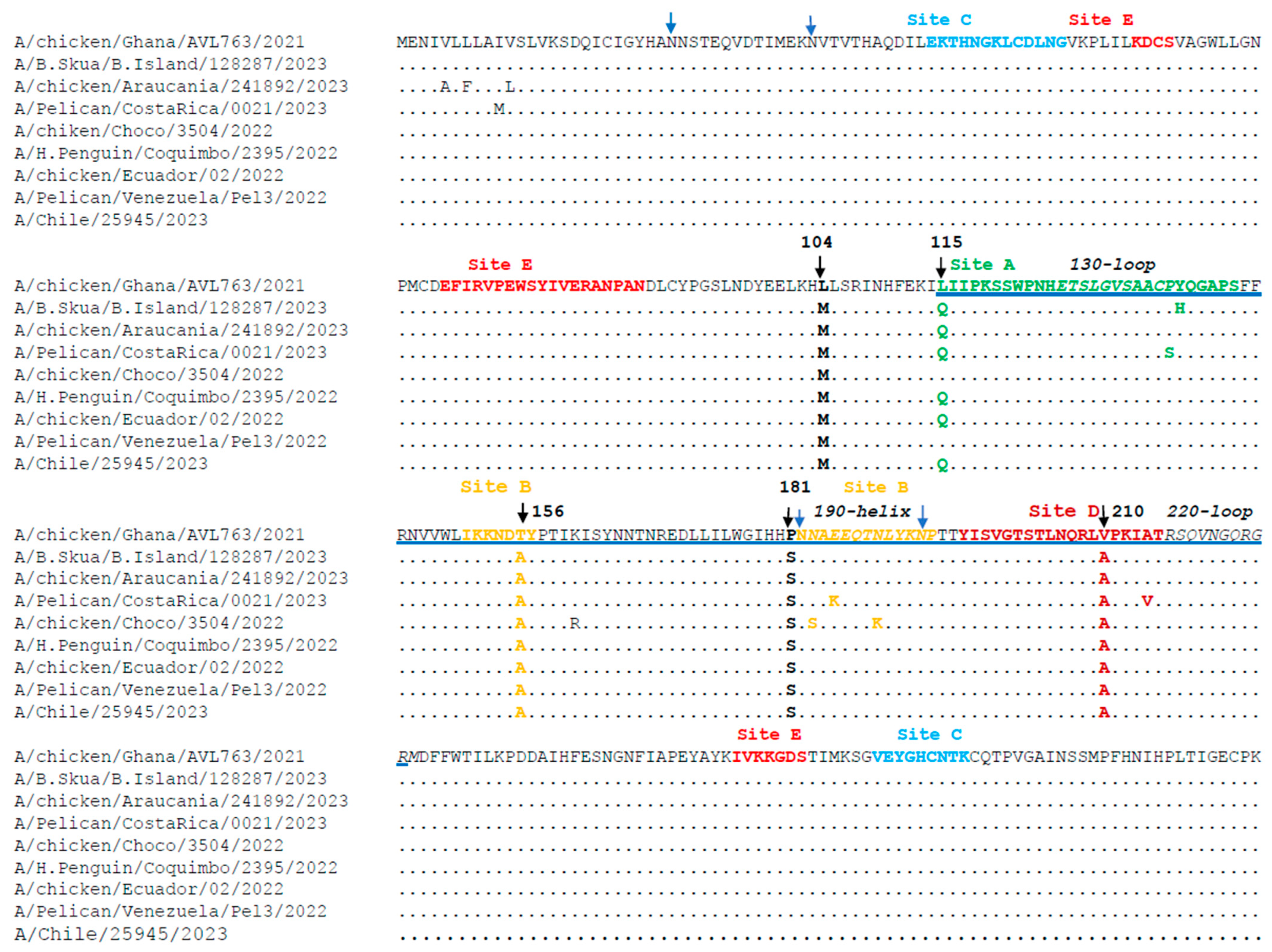 Viruses 17 00924 g003