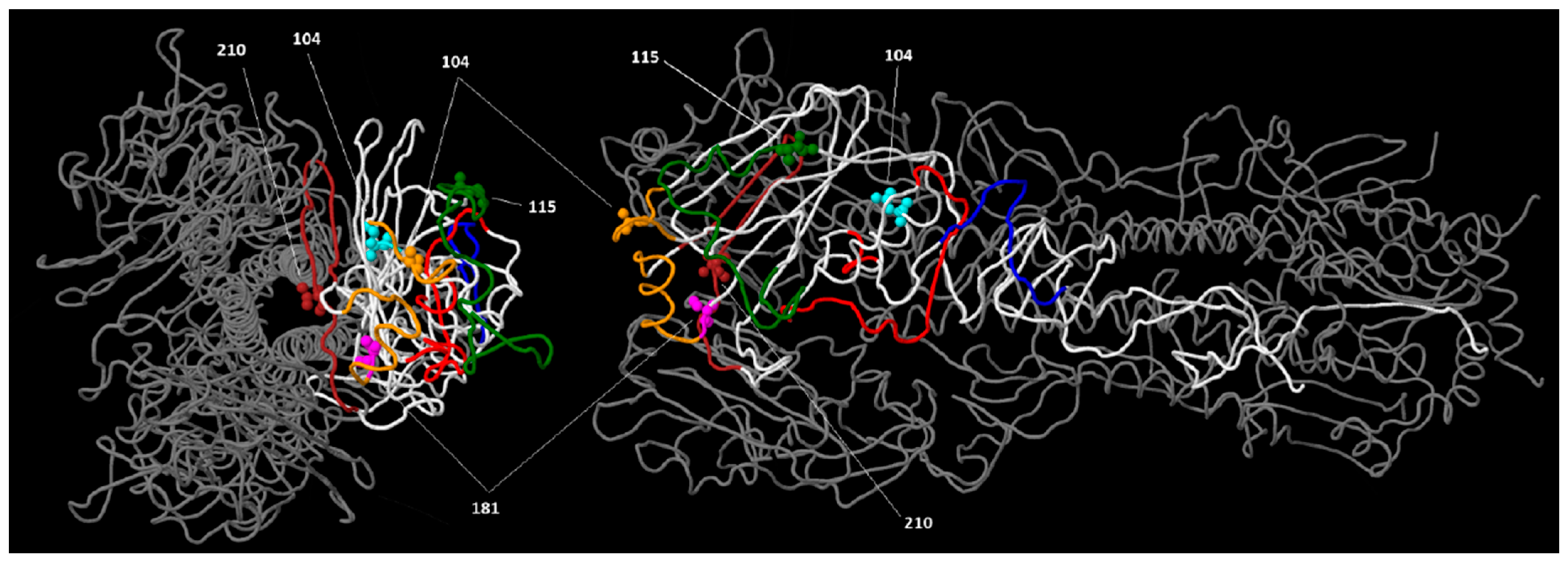 Viruses 17 00924 g004