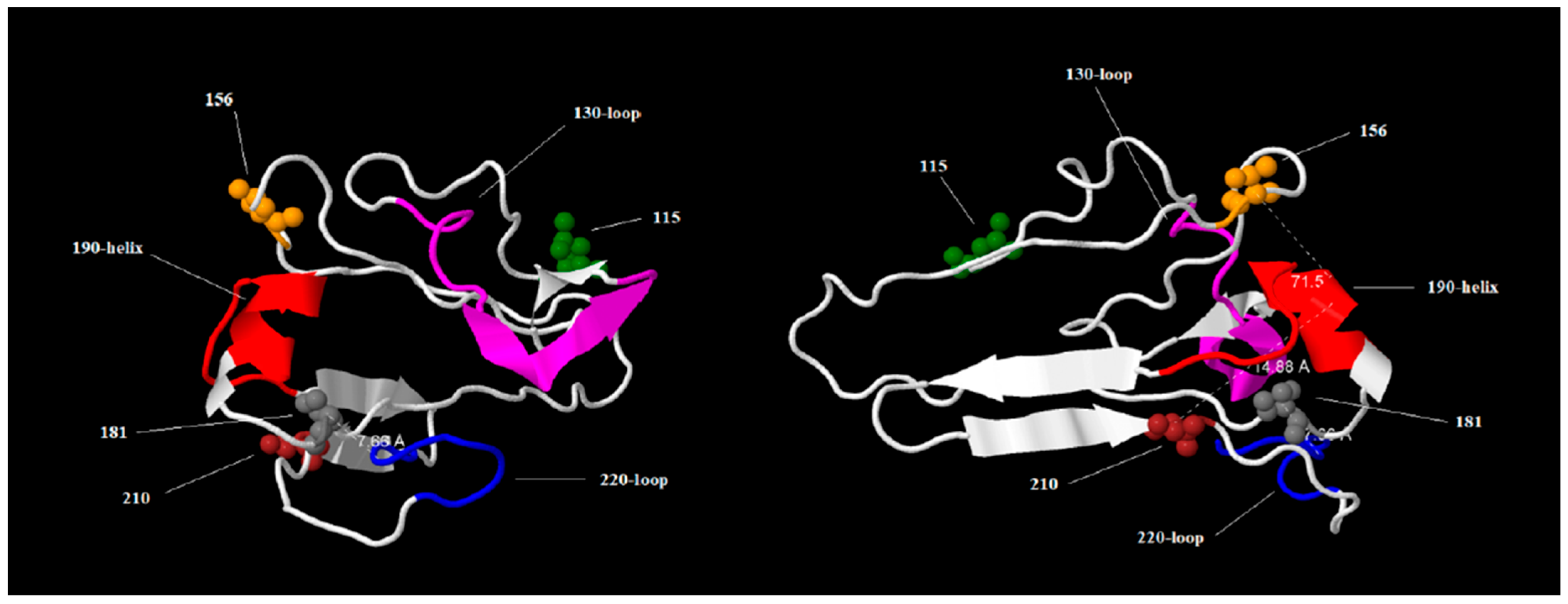 Viruses 17 00924 g005