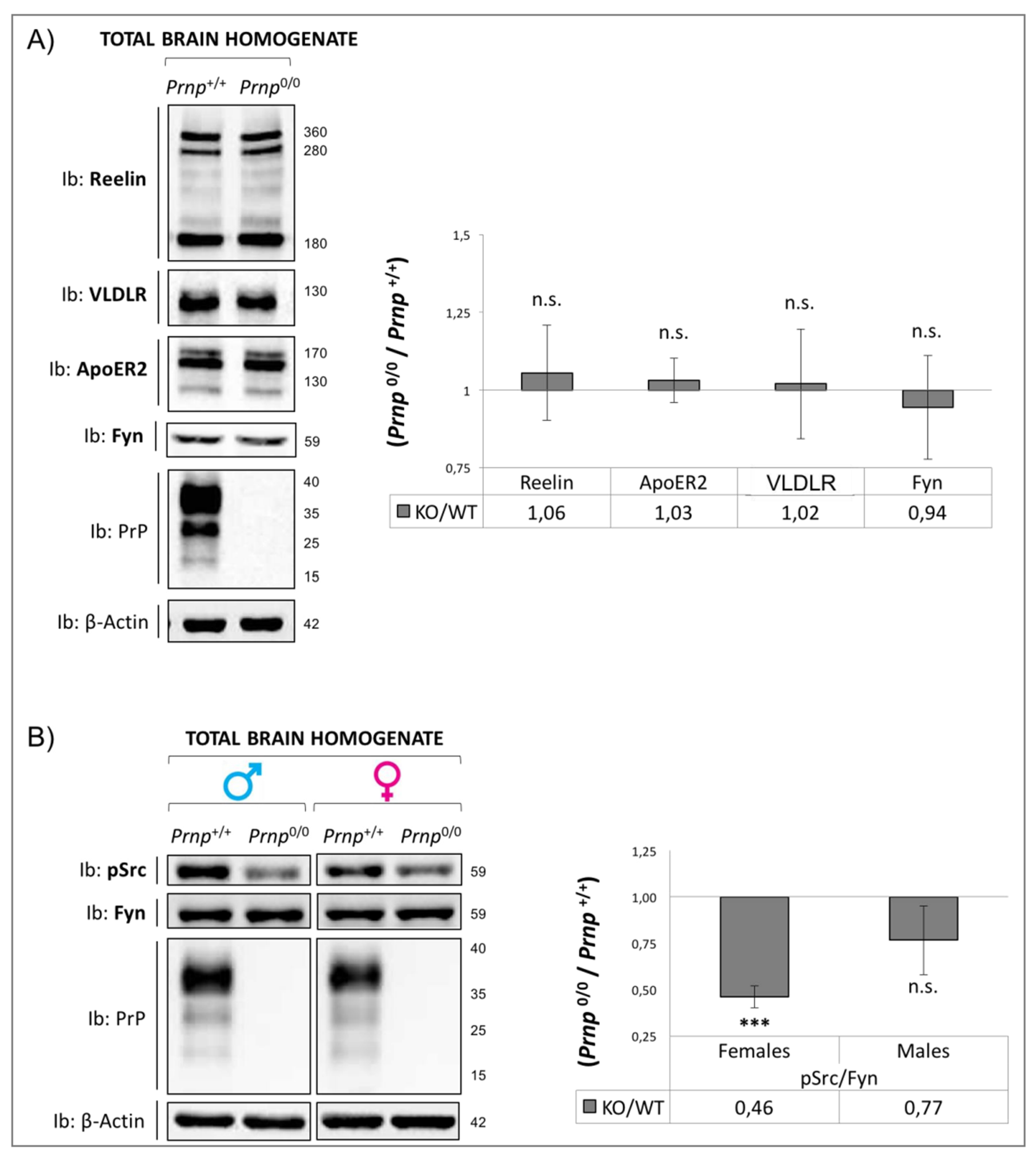 Viruses 17 00928 g002