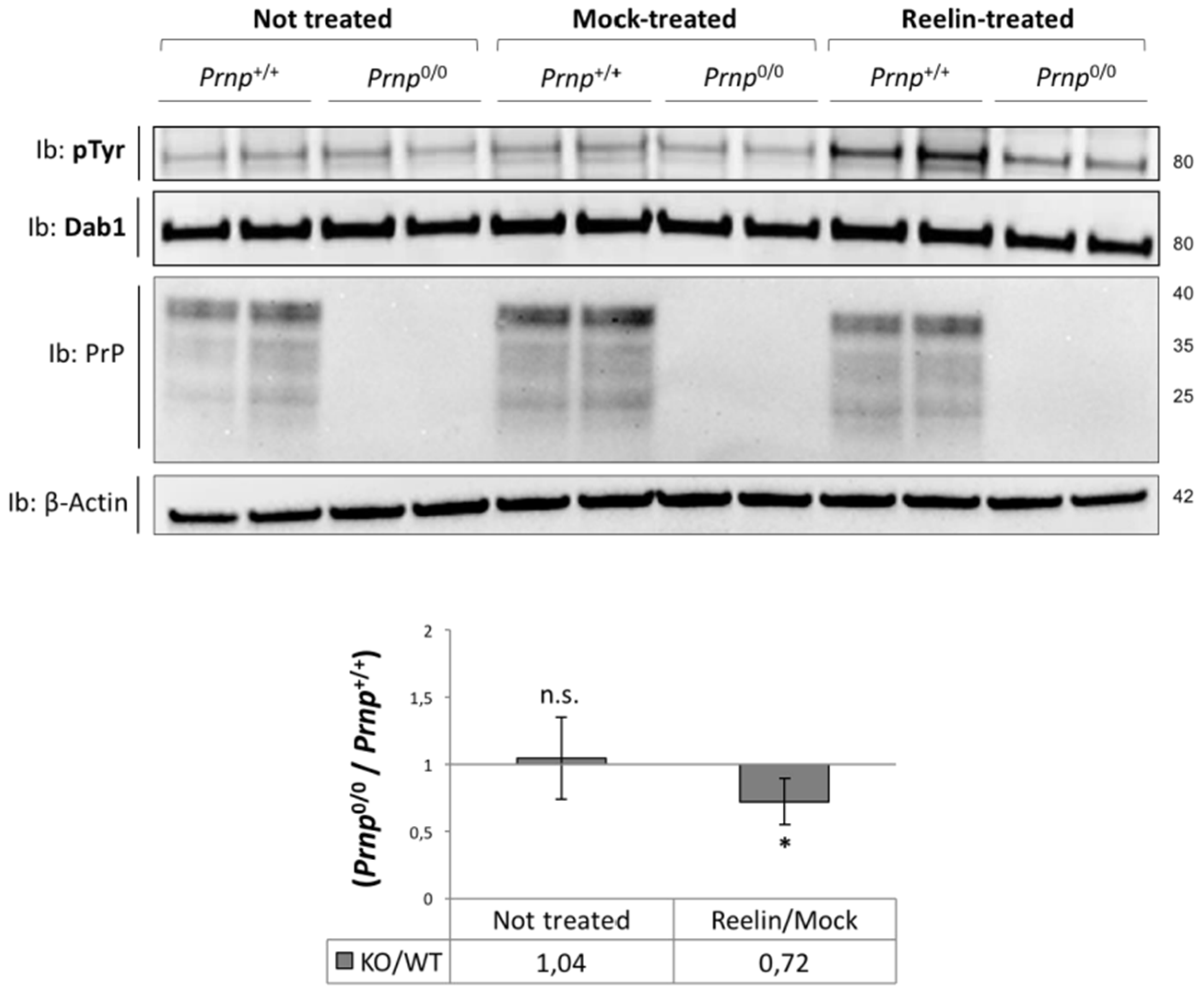 Viruses 17 00928 g004