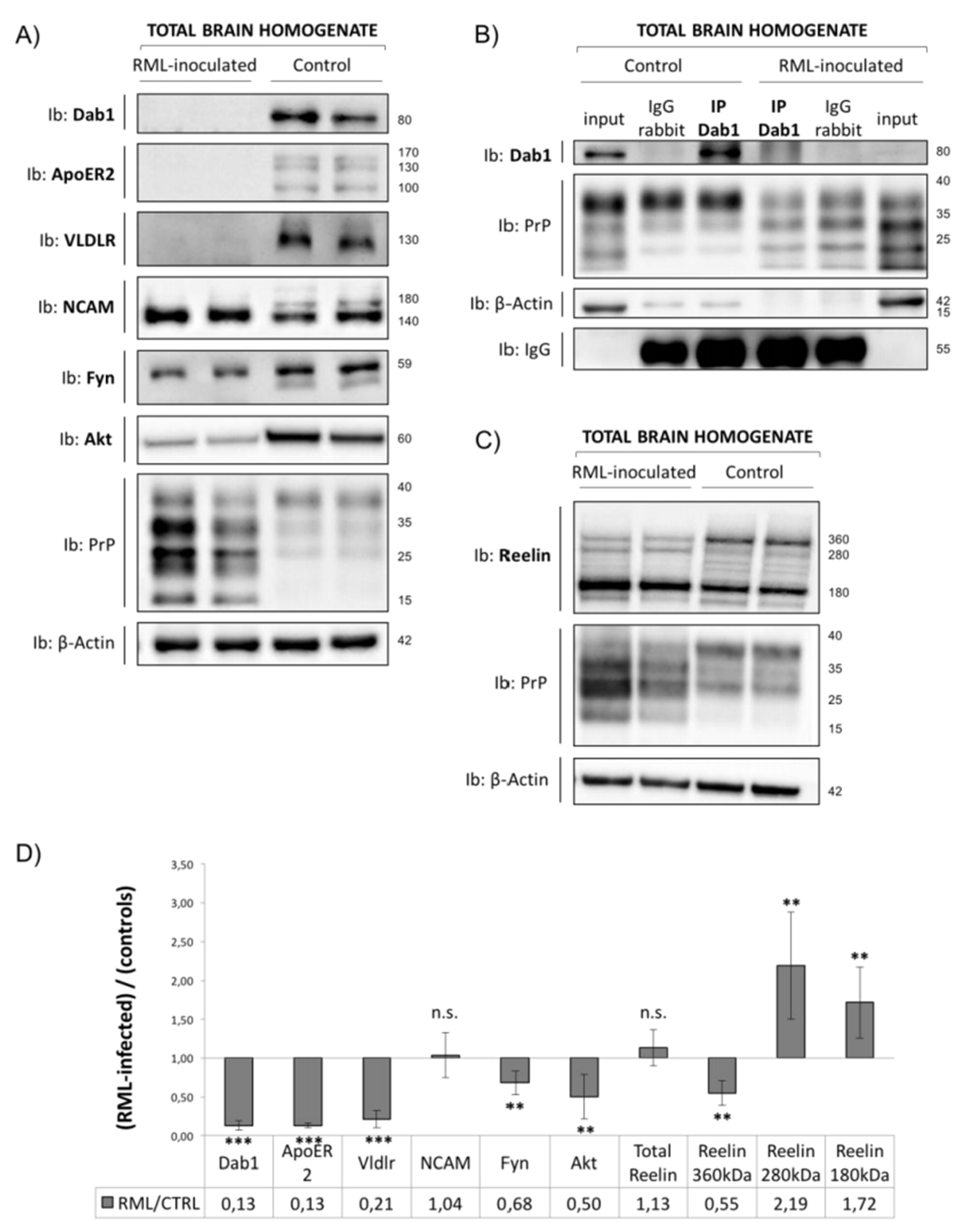 Viruses 17 00928 g005