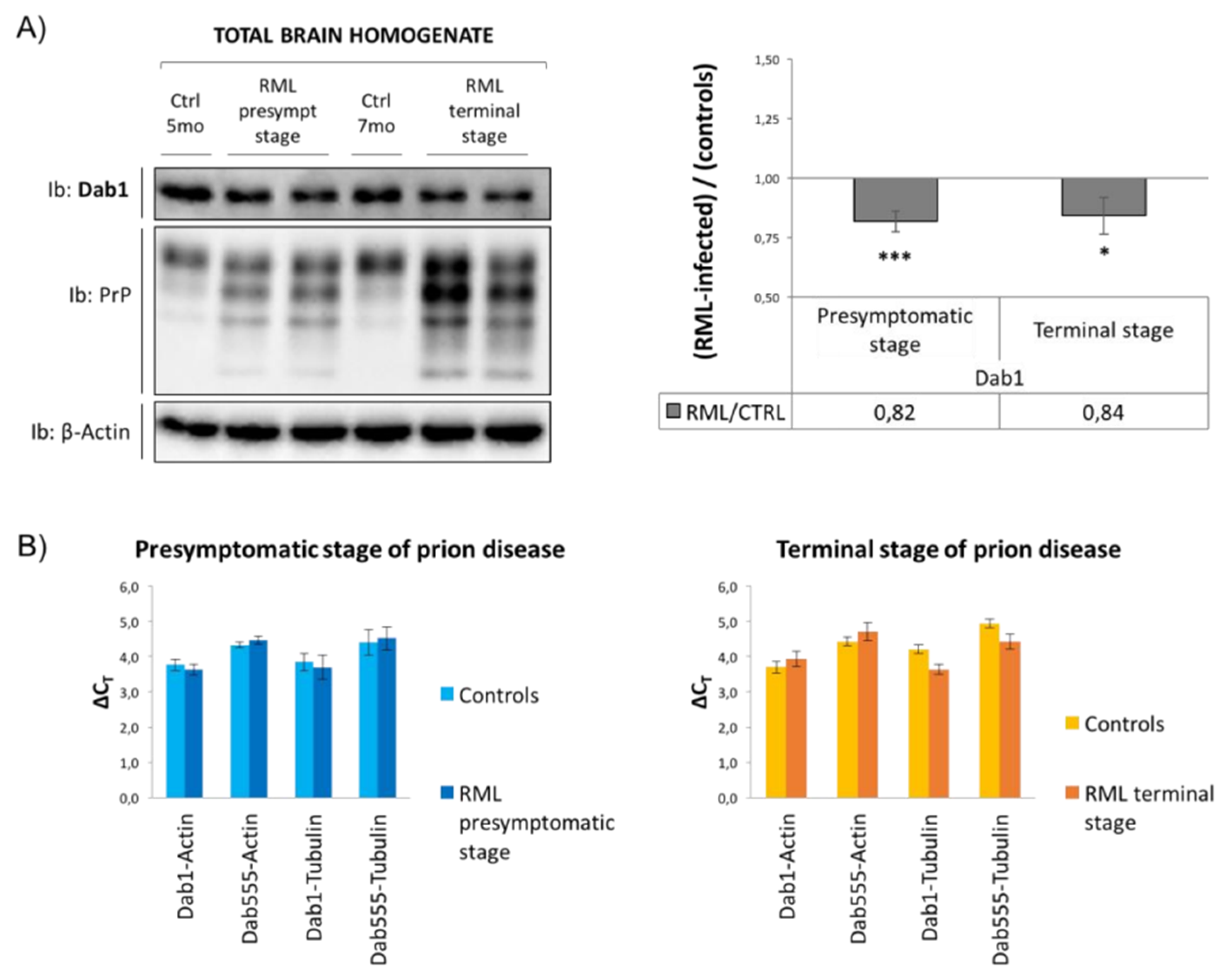 Viruses 17 00928 g006