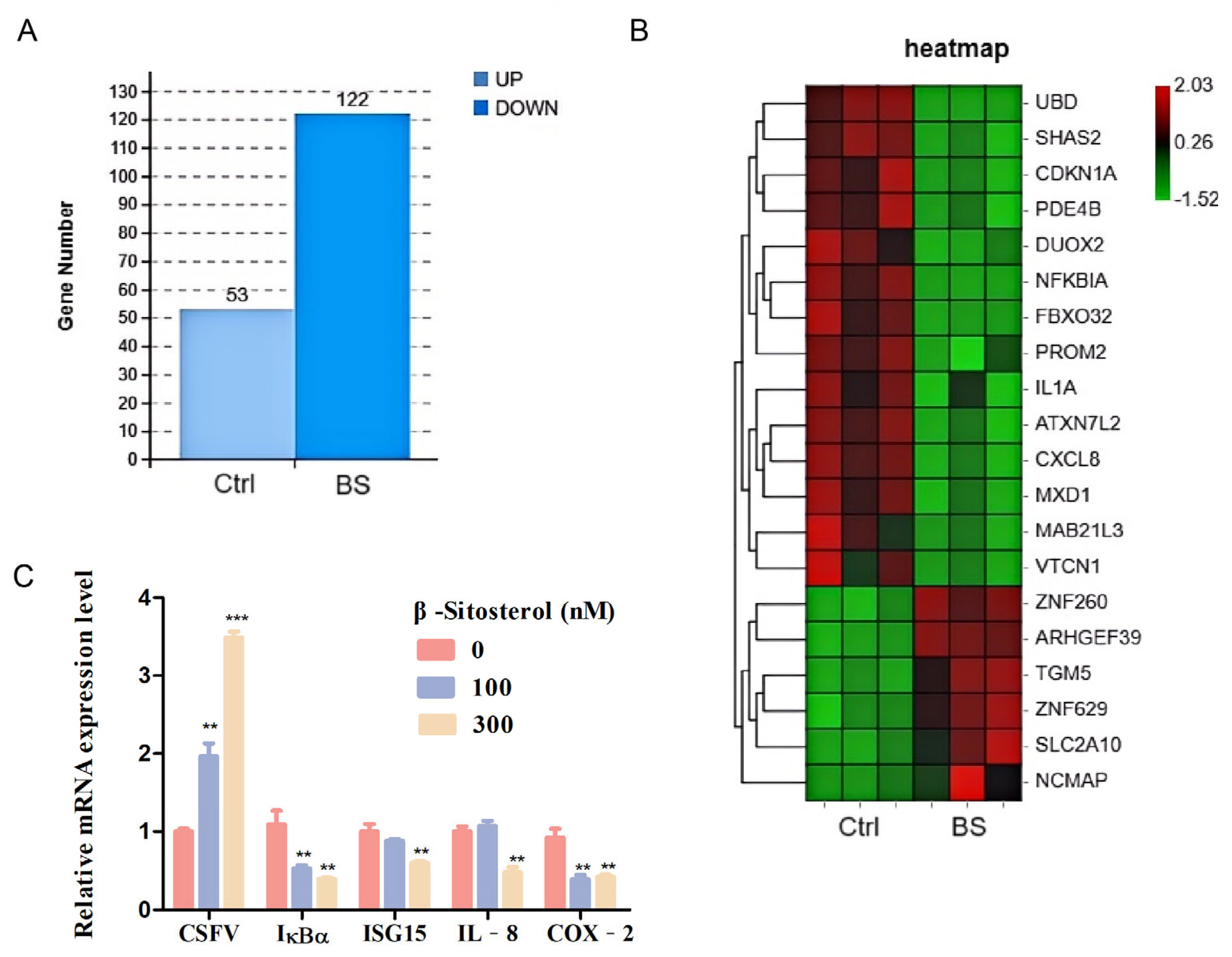 Viruses 17 00933 g003