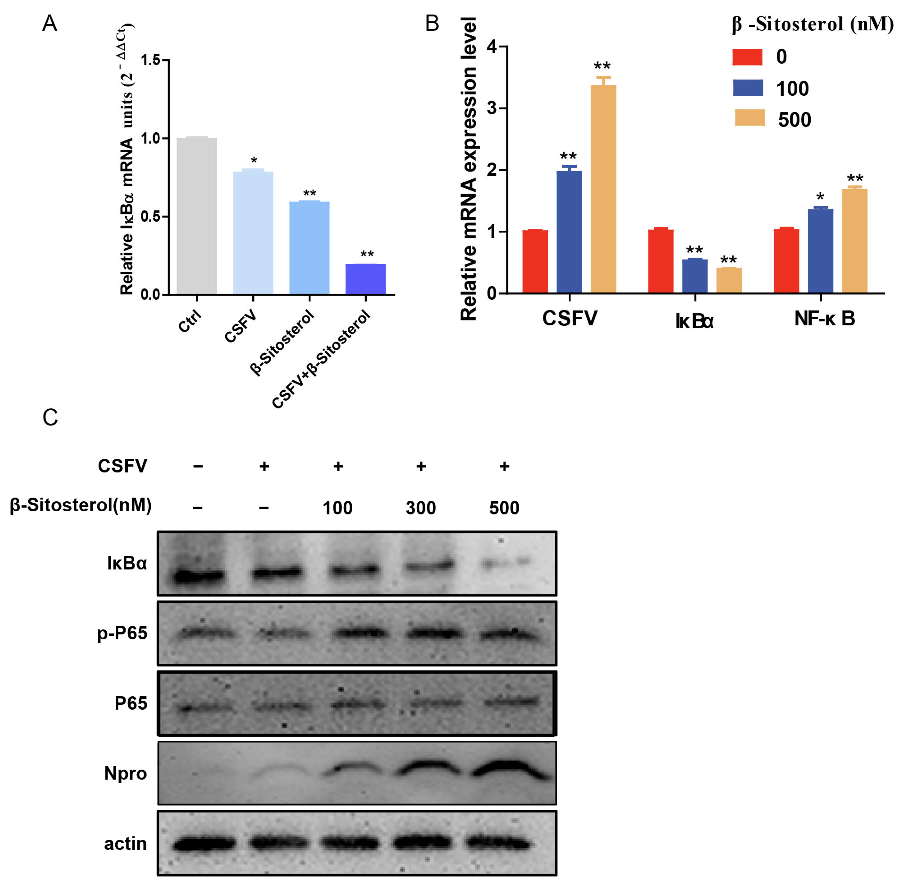 Viruses 17 00933 g005