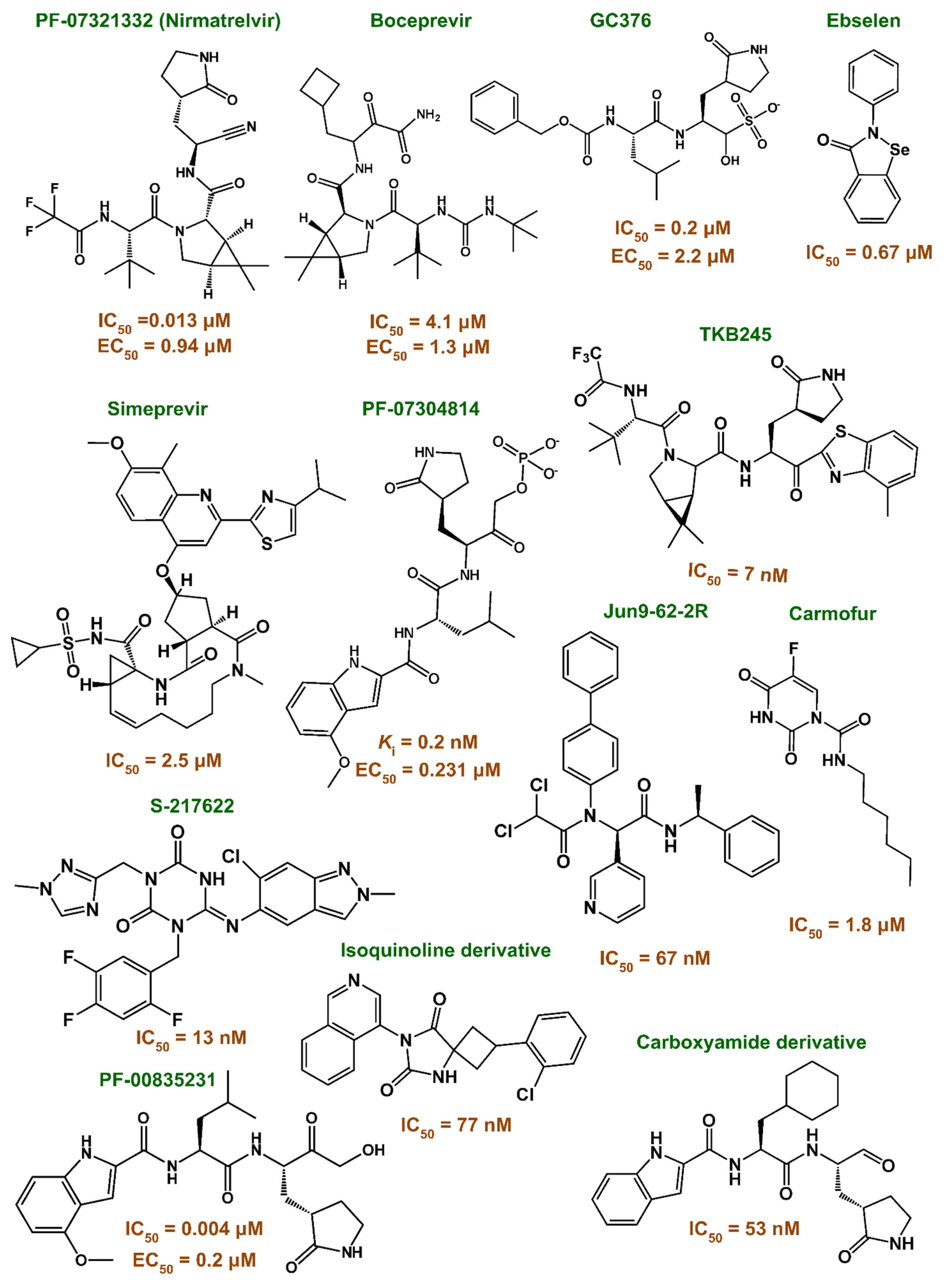 Viruses 17 00935 g001