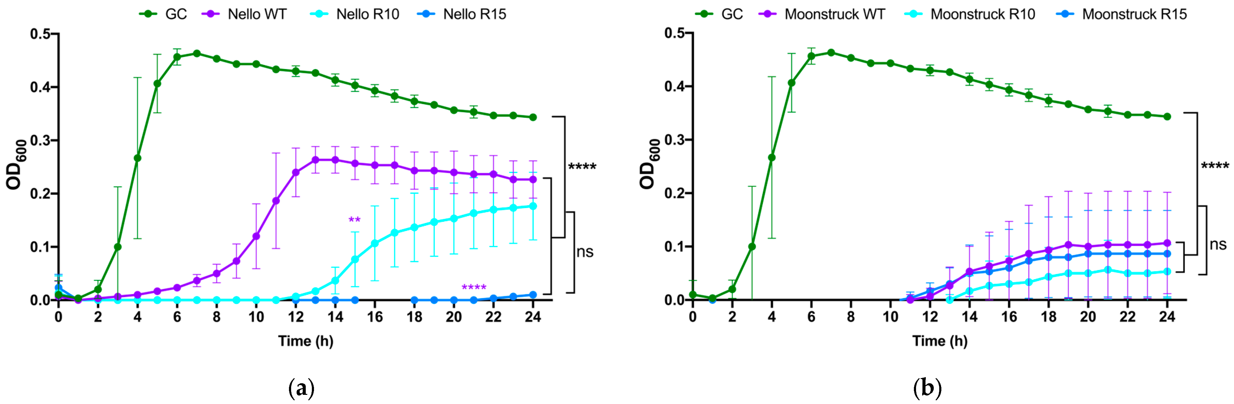 Viruses 17 00938 g009