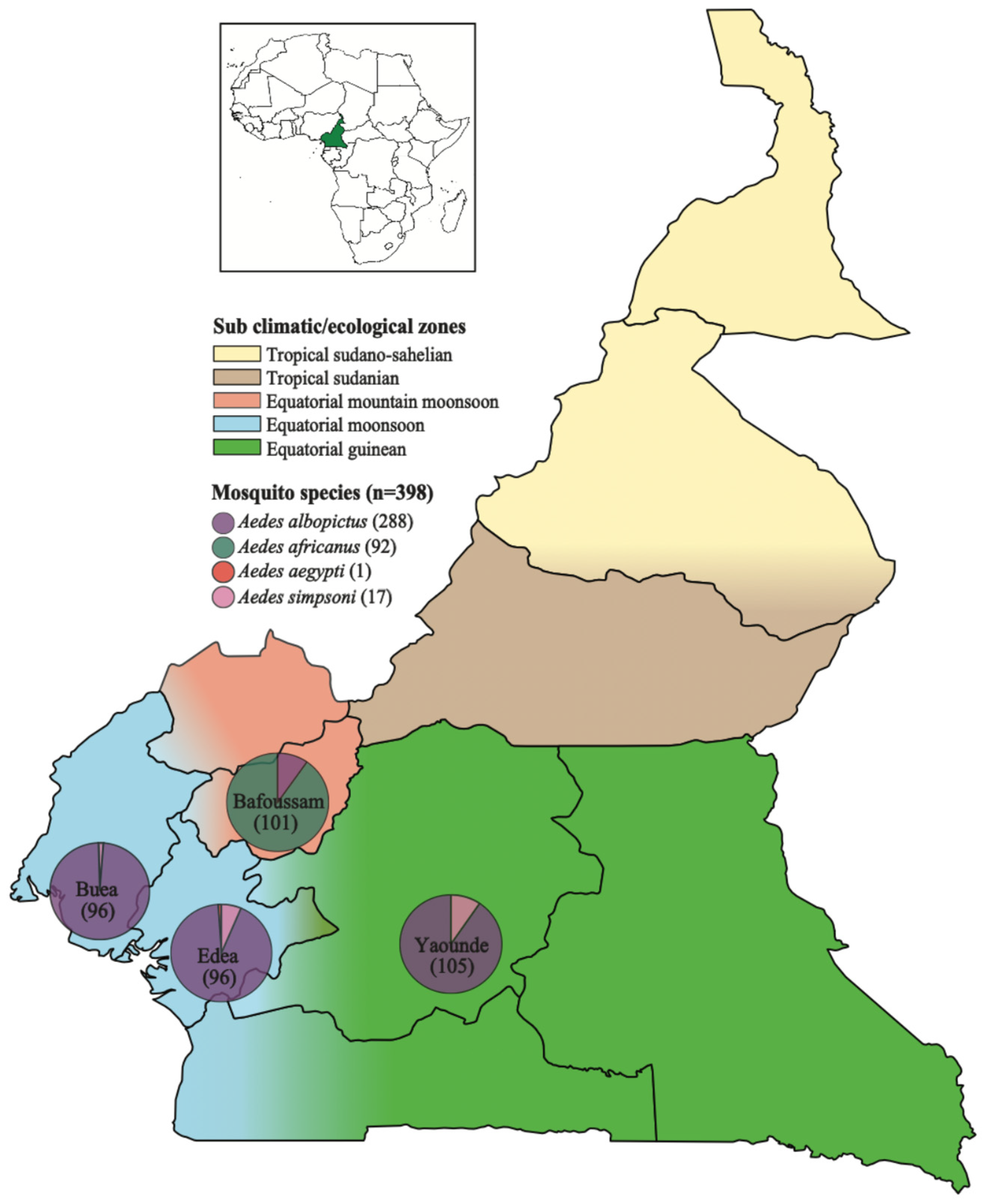 Viruses 17 00939 g001