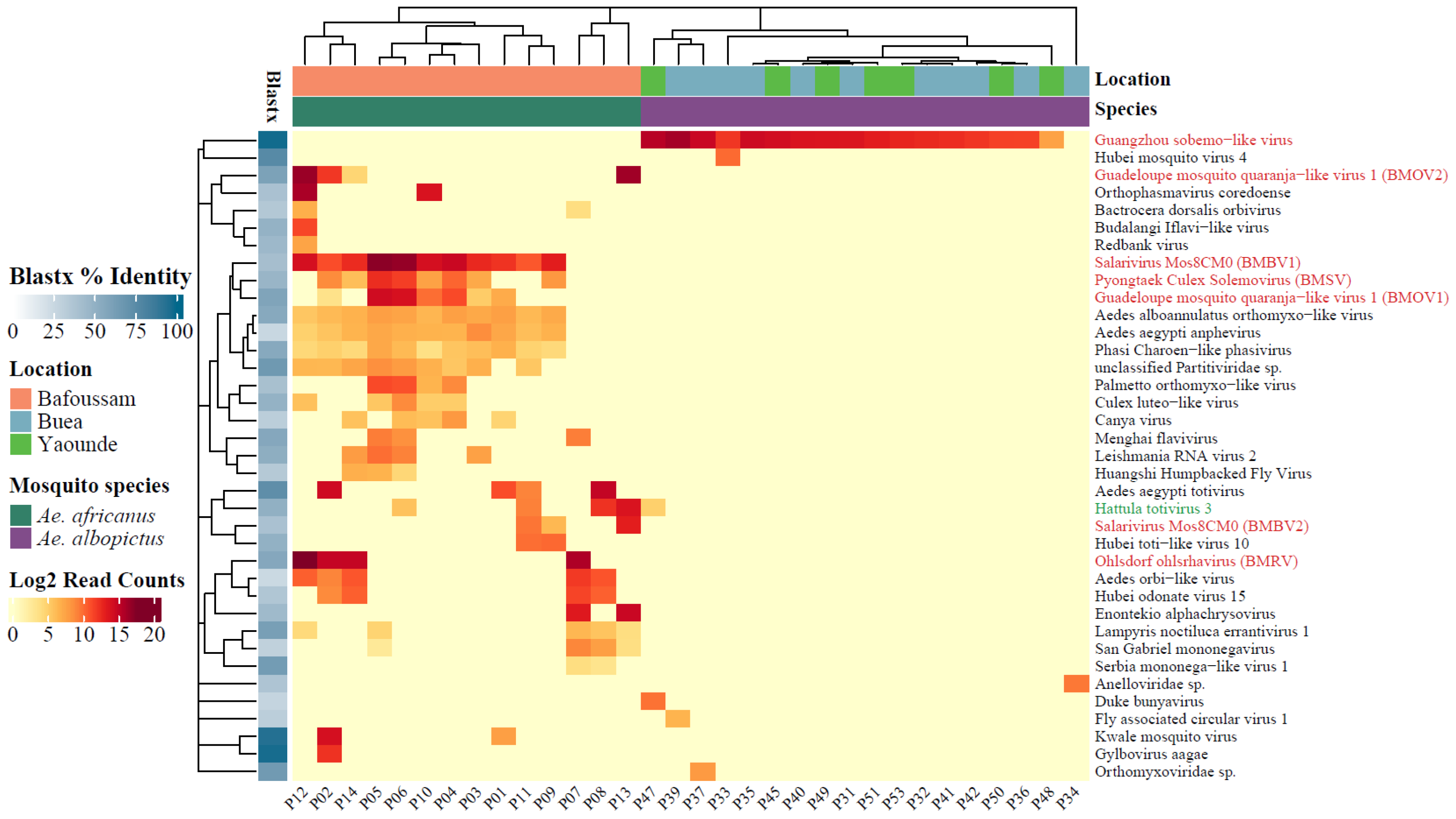 Viruses 17 00939 g006