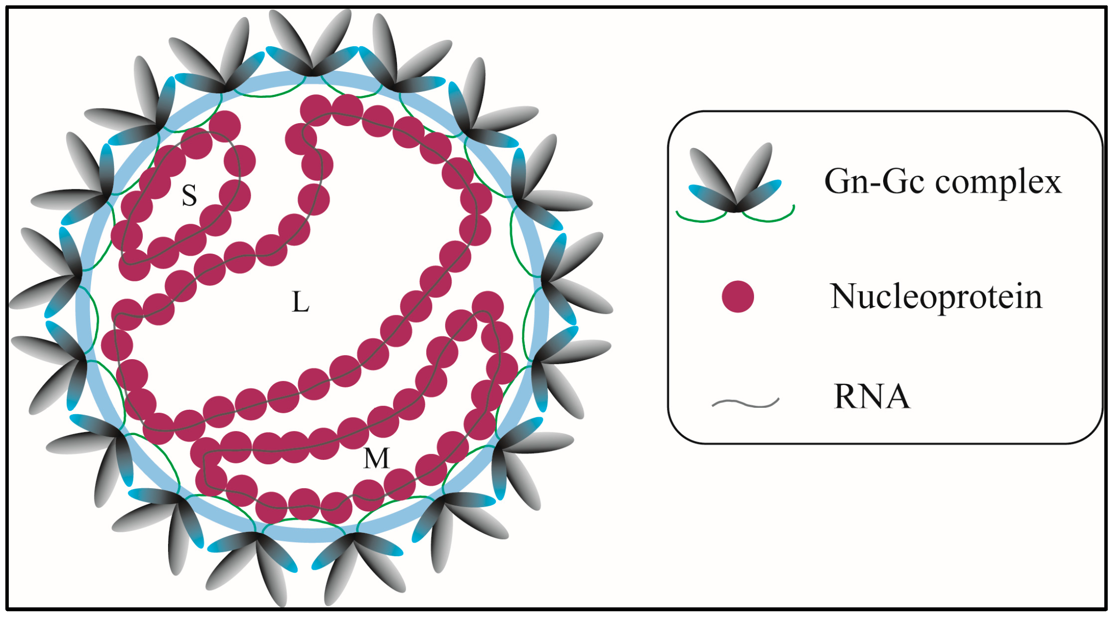 Viruses 17 00940 g001