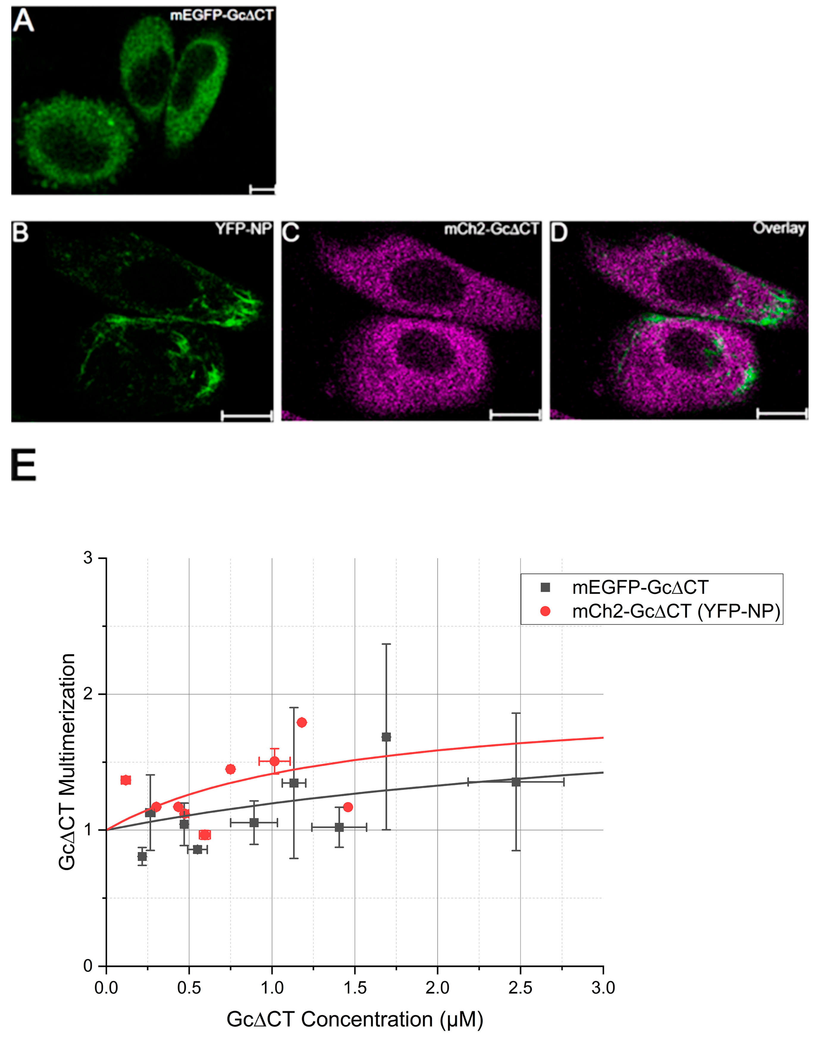 Viruses 17 00940 g005
