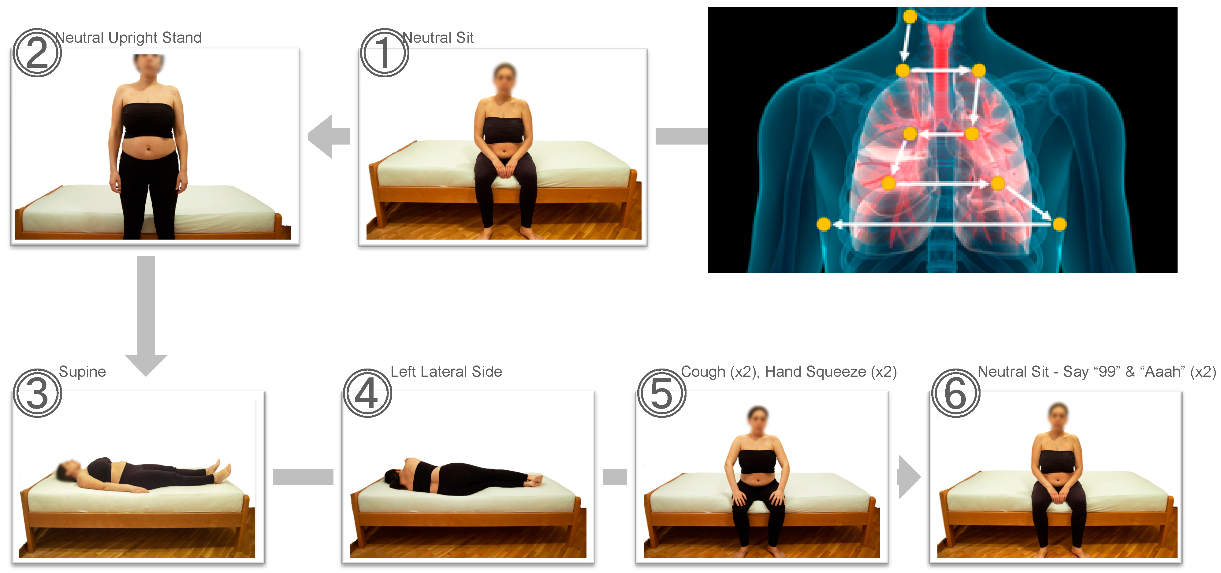 Viruses 17 00943 g001