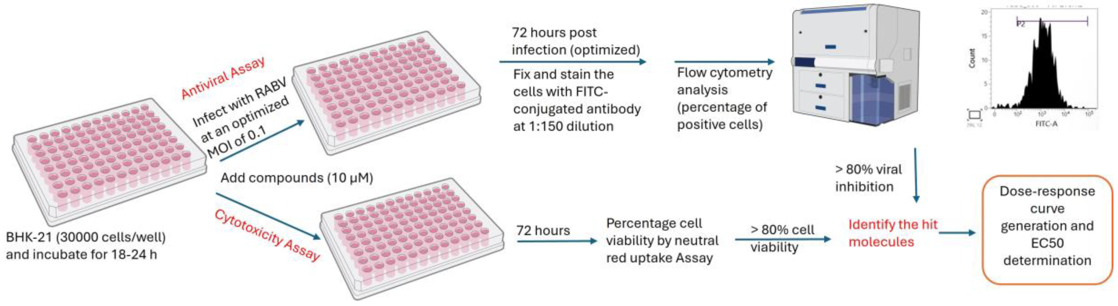 Viruses 17 00945 g002