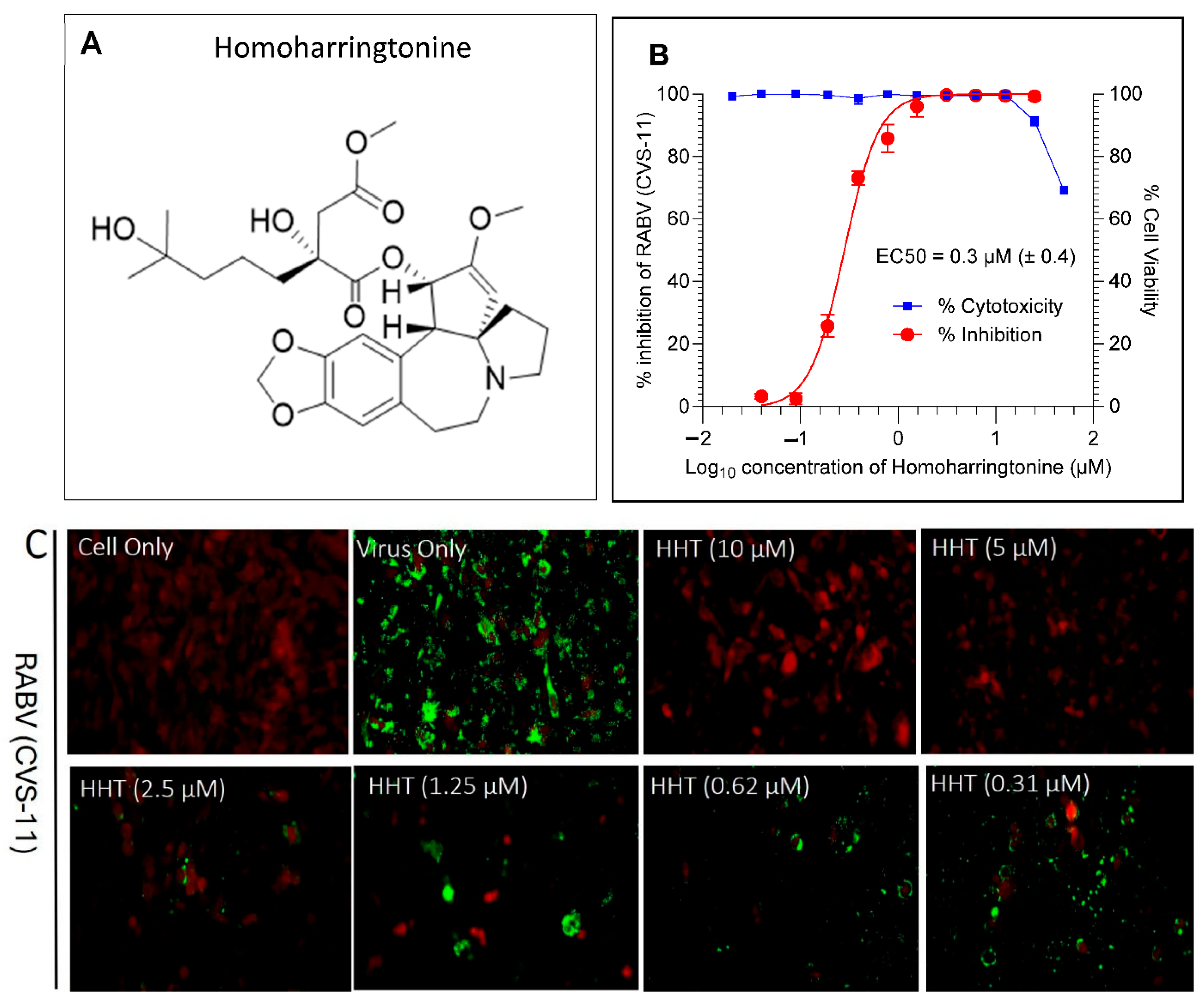 Viruses 17 00945 g004