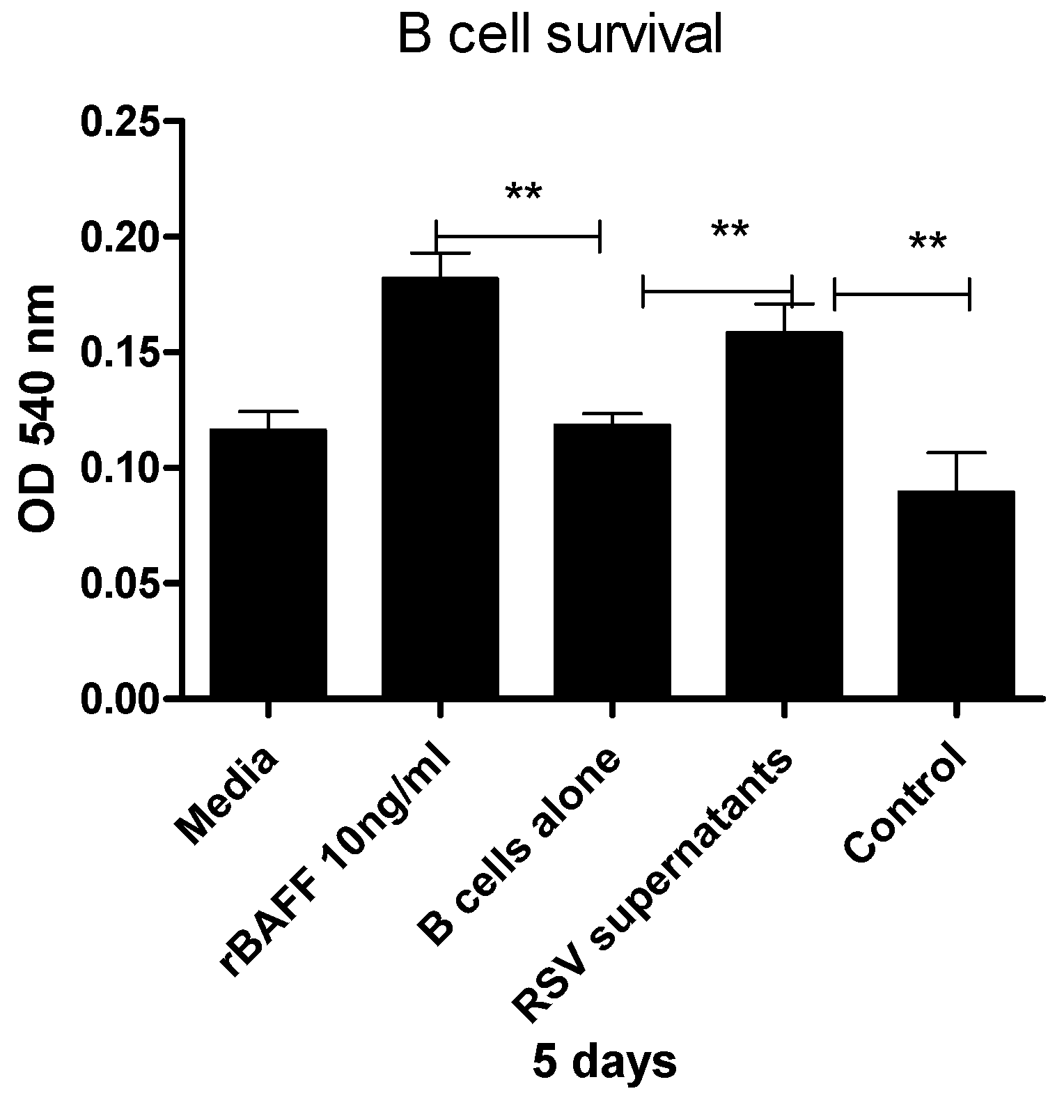 Viruses 17 00946 g004