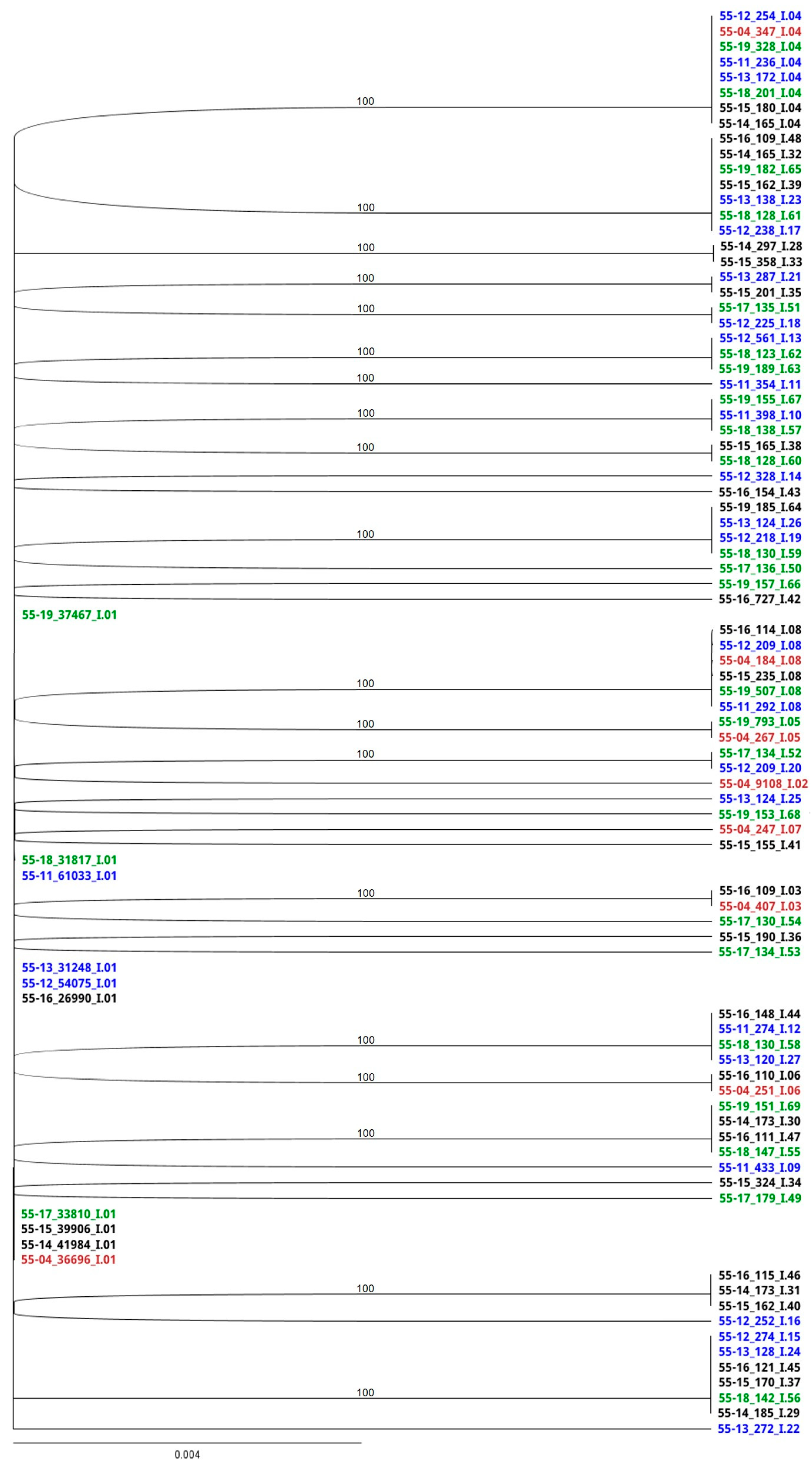 Viruses 17 00947 g003
