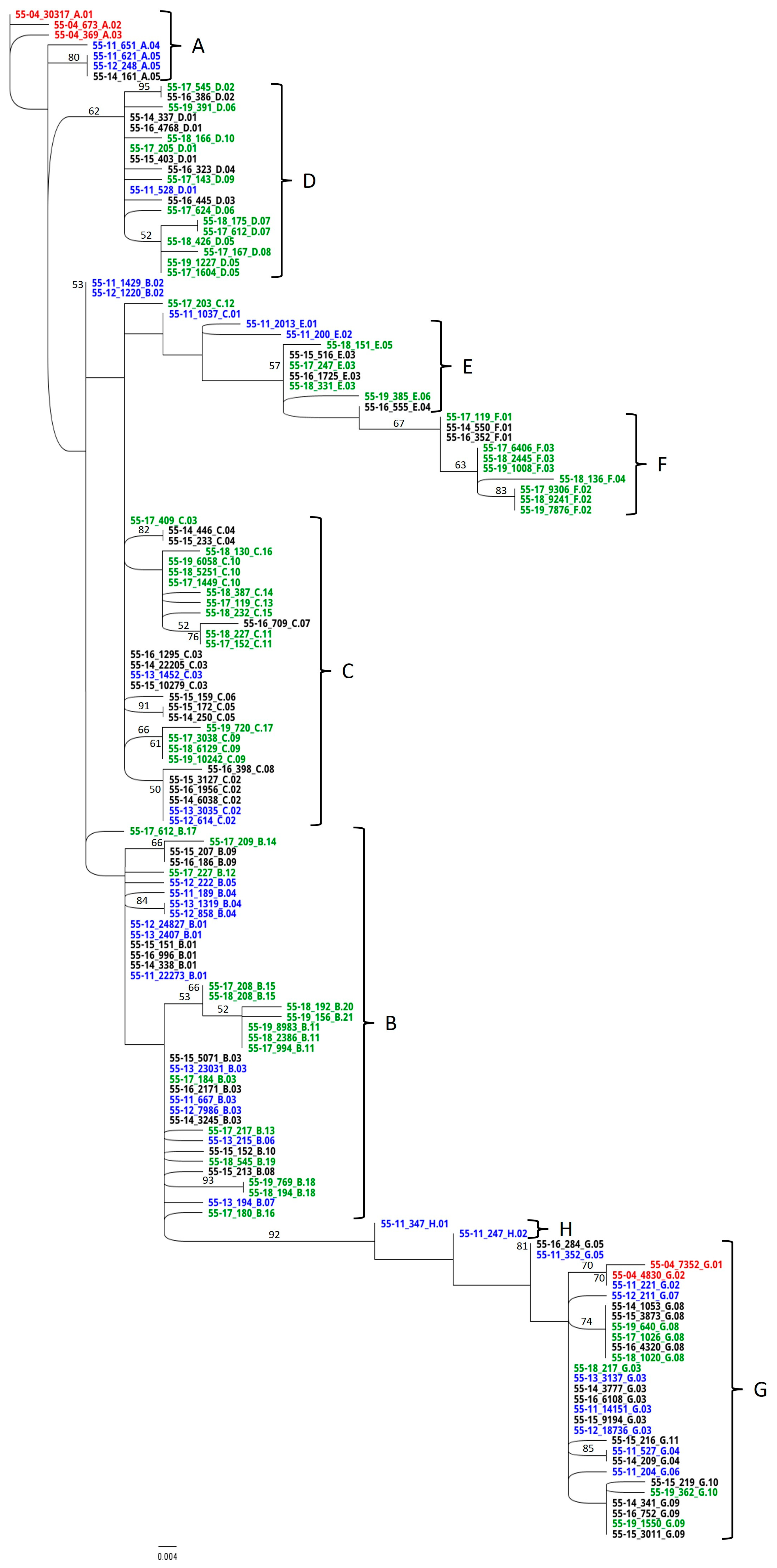 Viruses 17 00947 g004