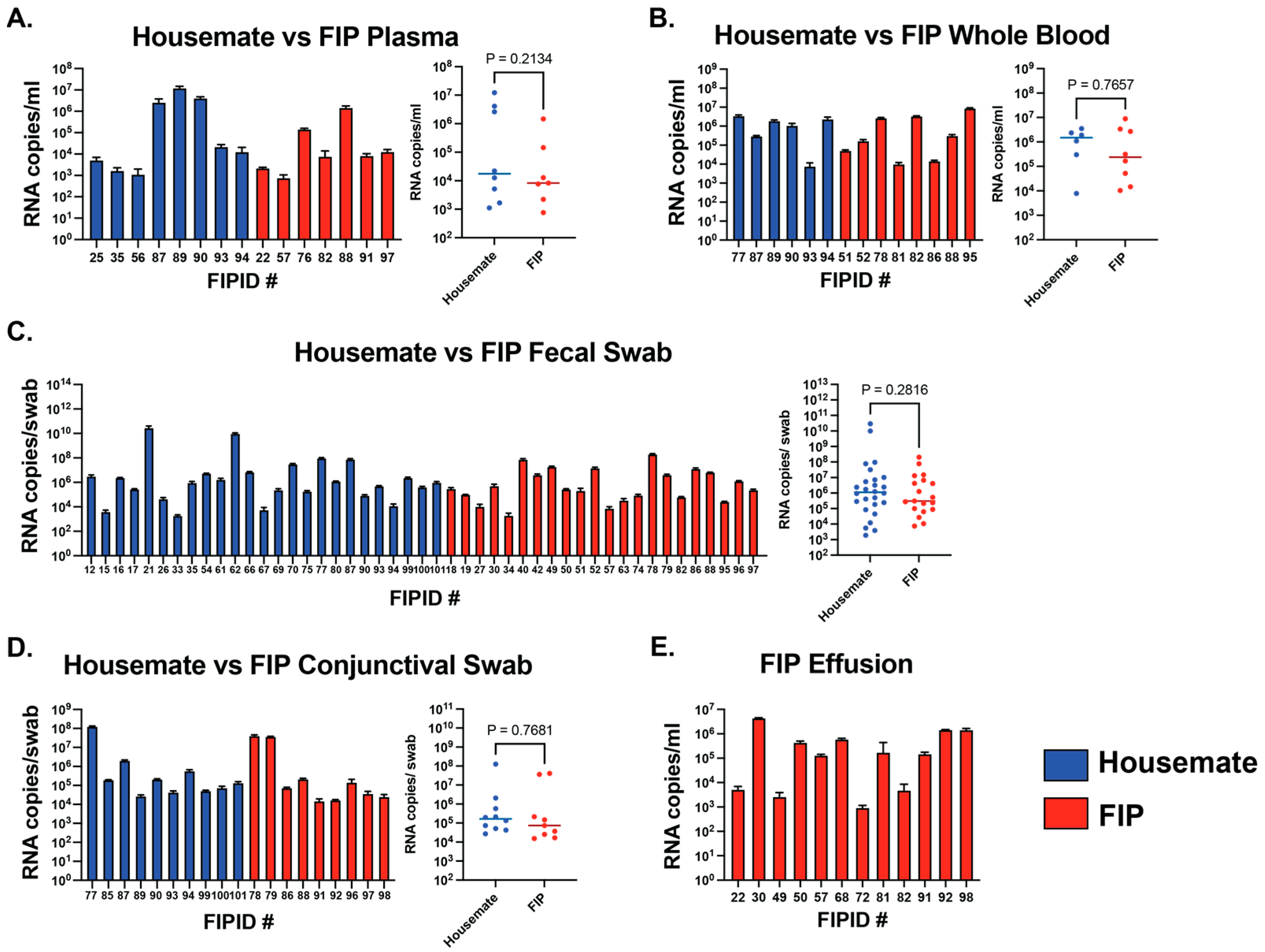 Viruses 17 00948 g001