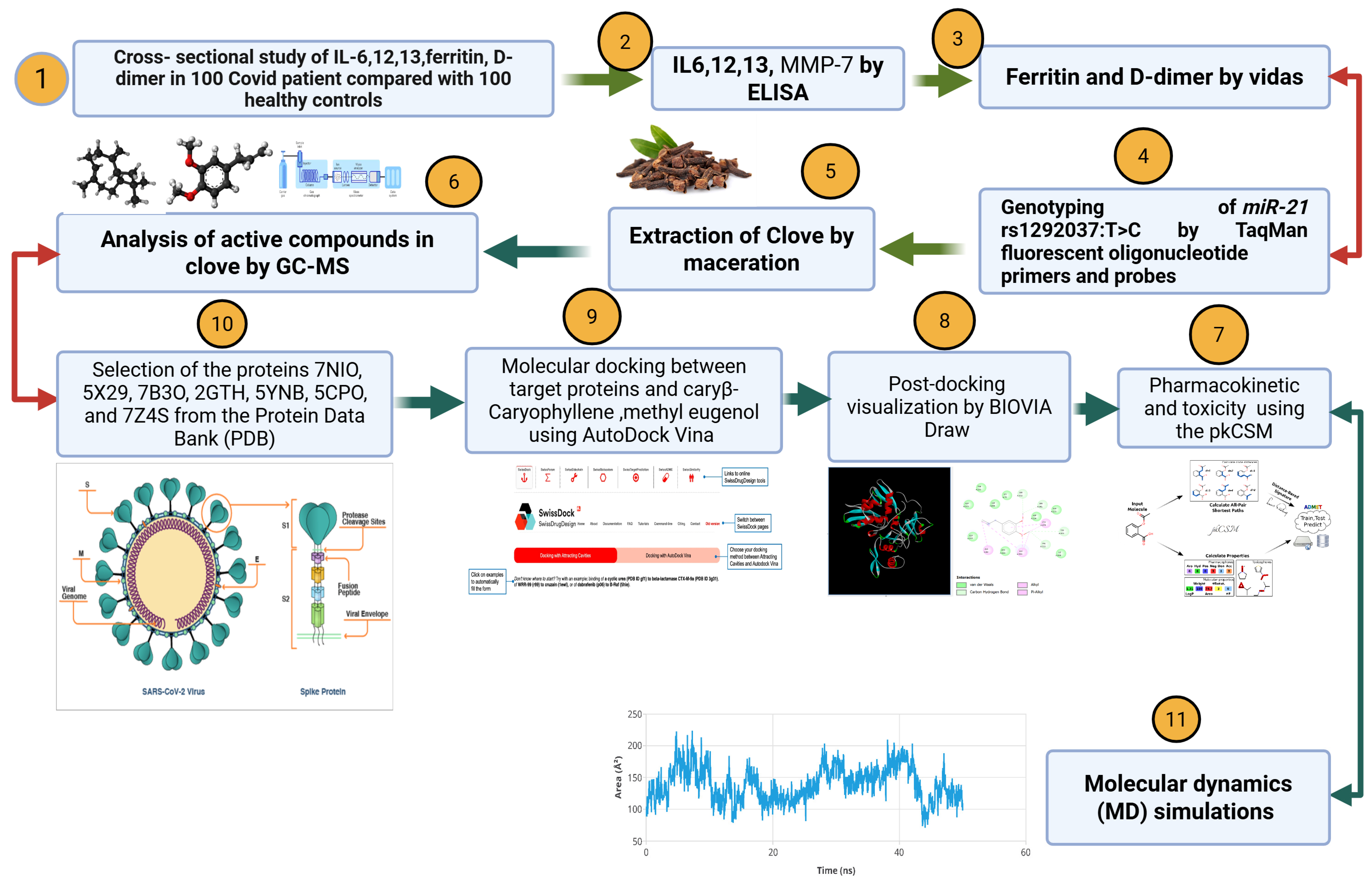 Viruses 17 00951 g001