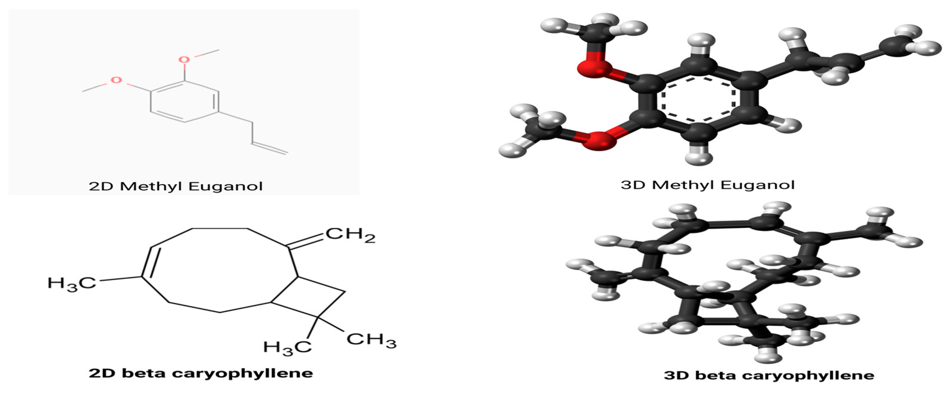 Viruses 17 00951 g002