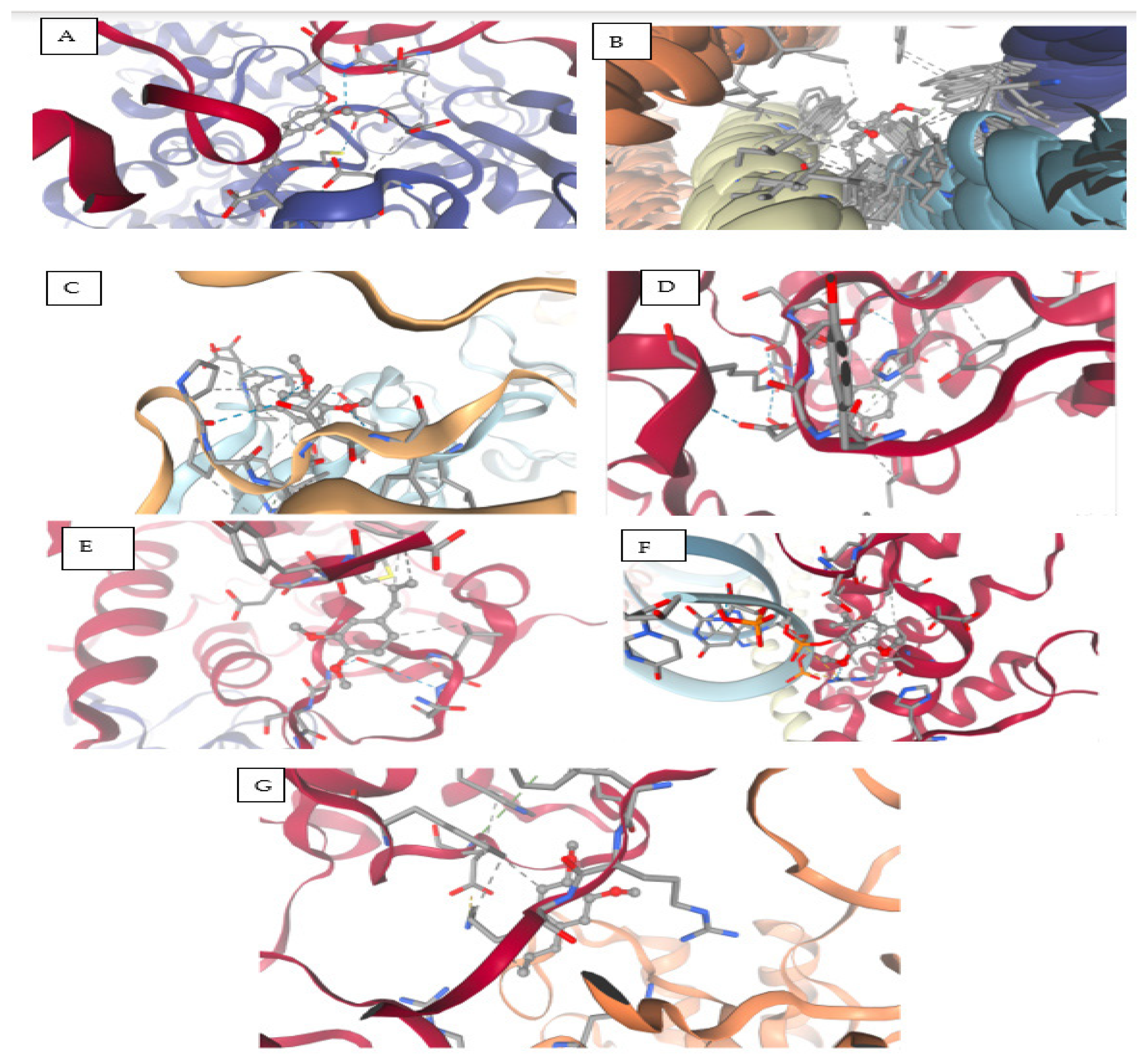 Viruses 17 00951 g006