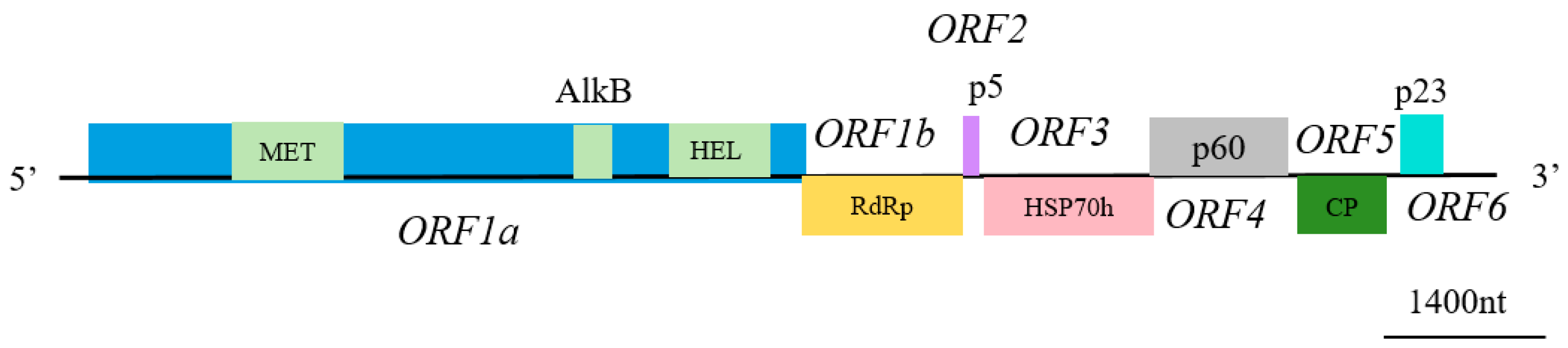 Viruses 17 00952 g001