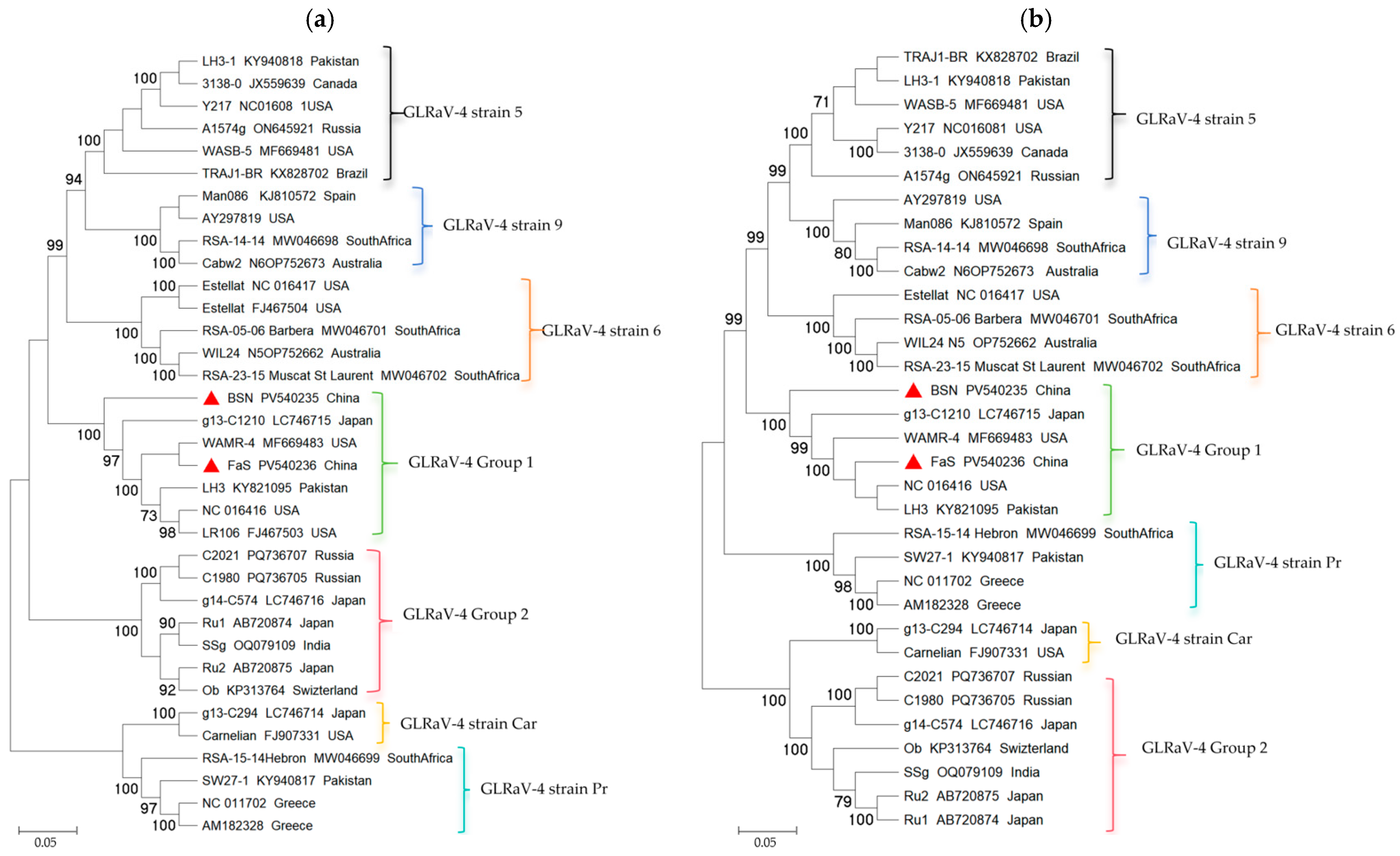 Viruses 17 00952 g002