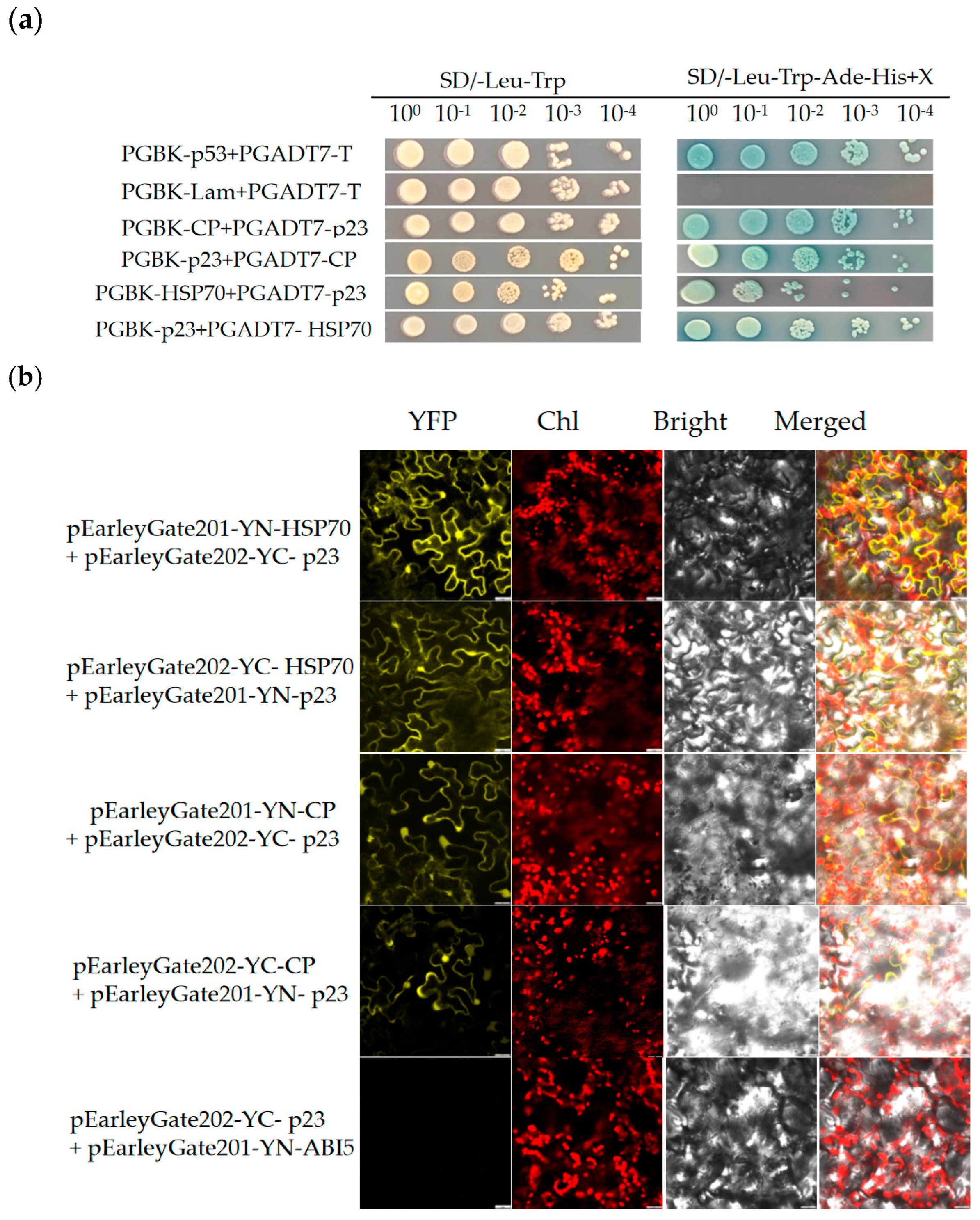 Viruses 17 00952 g003