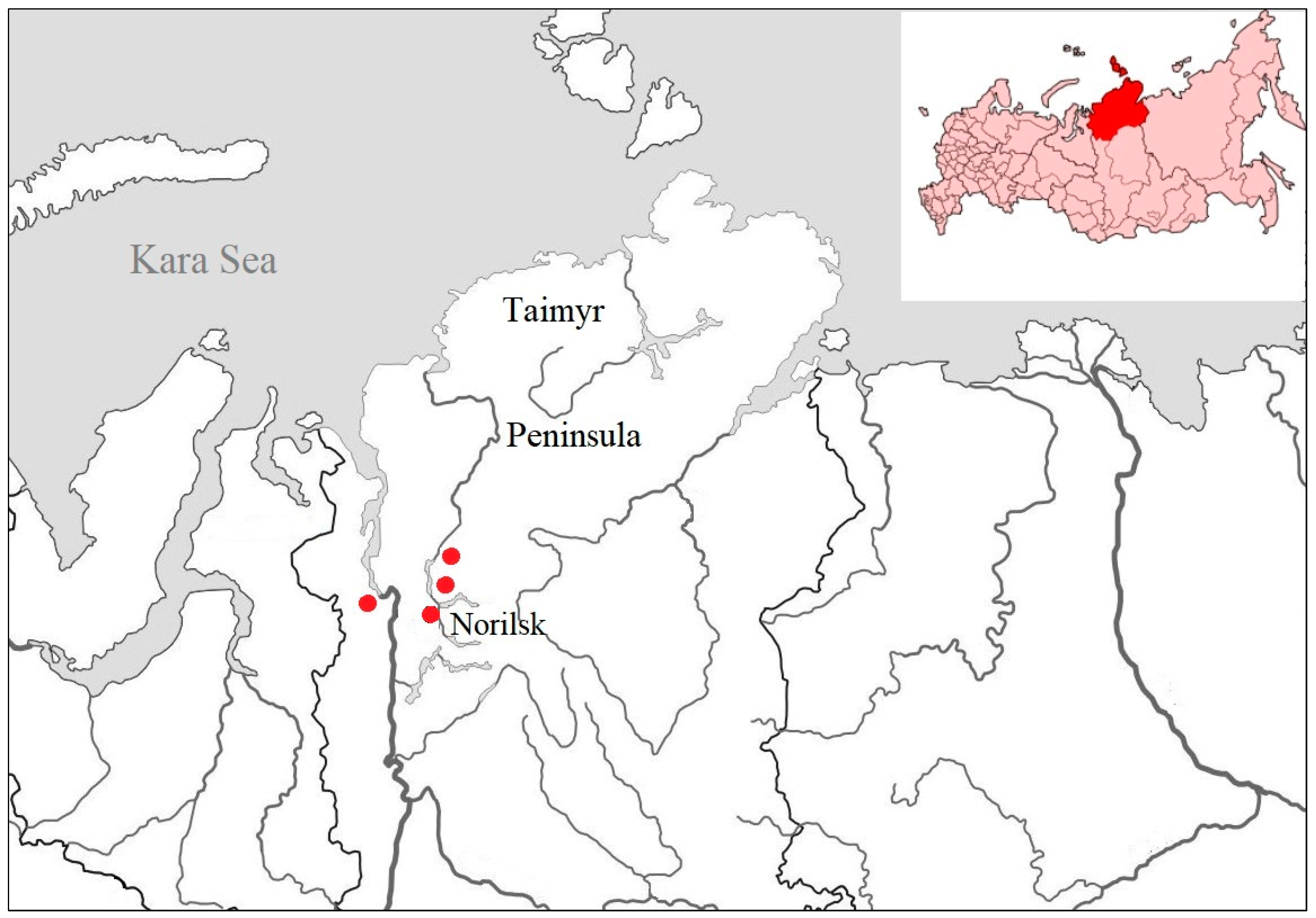 Viruses 17 00955 g001