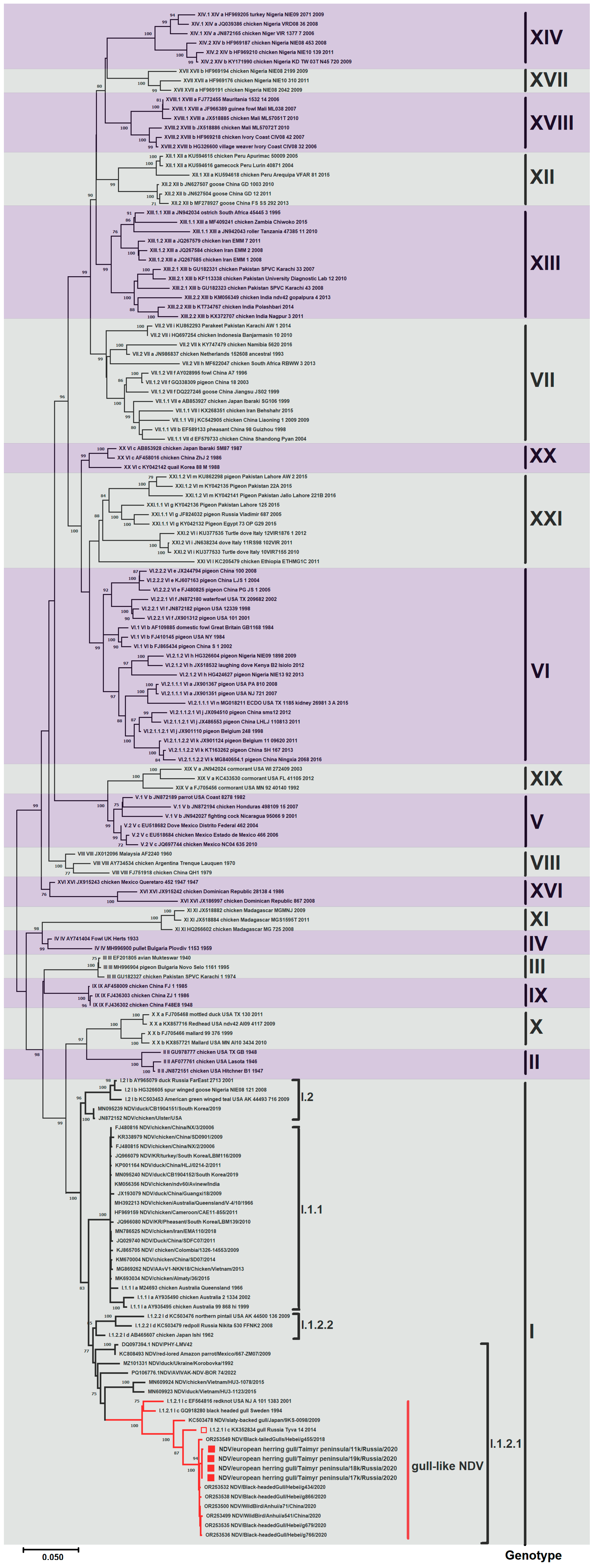 Viruses 17 00955 g002