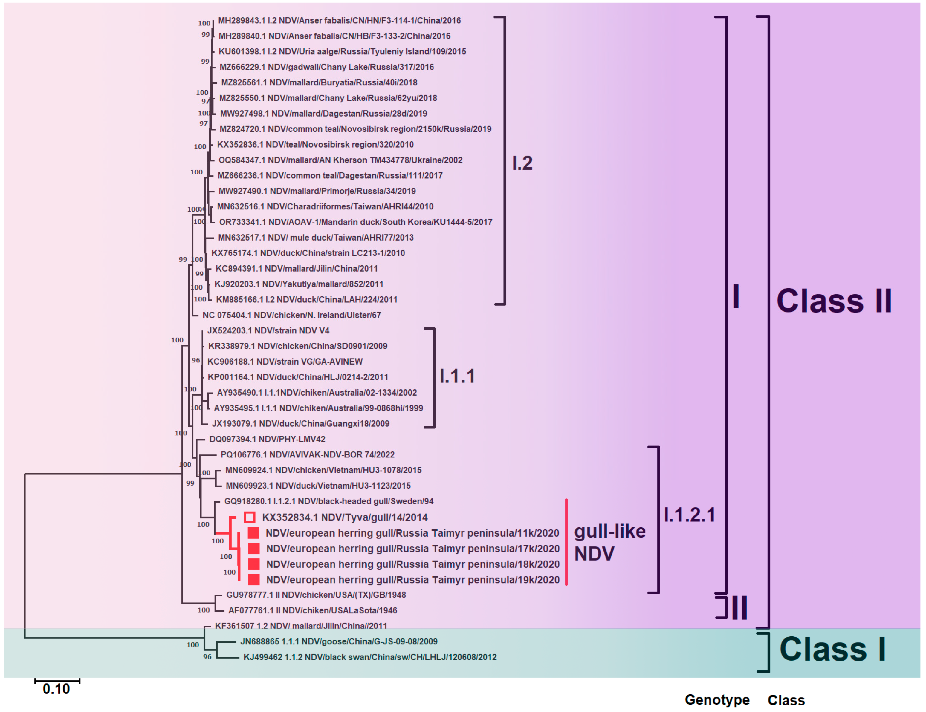 Viruses 17 00955 g003