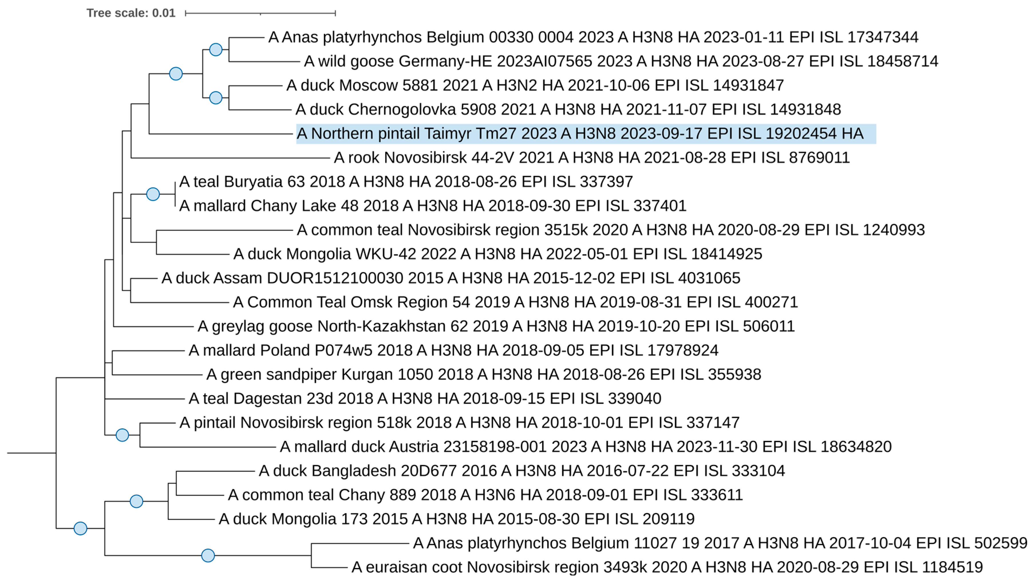 Viruses 17 00955 g004