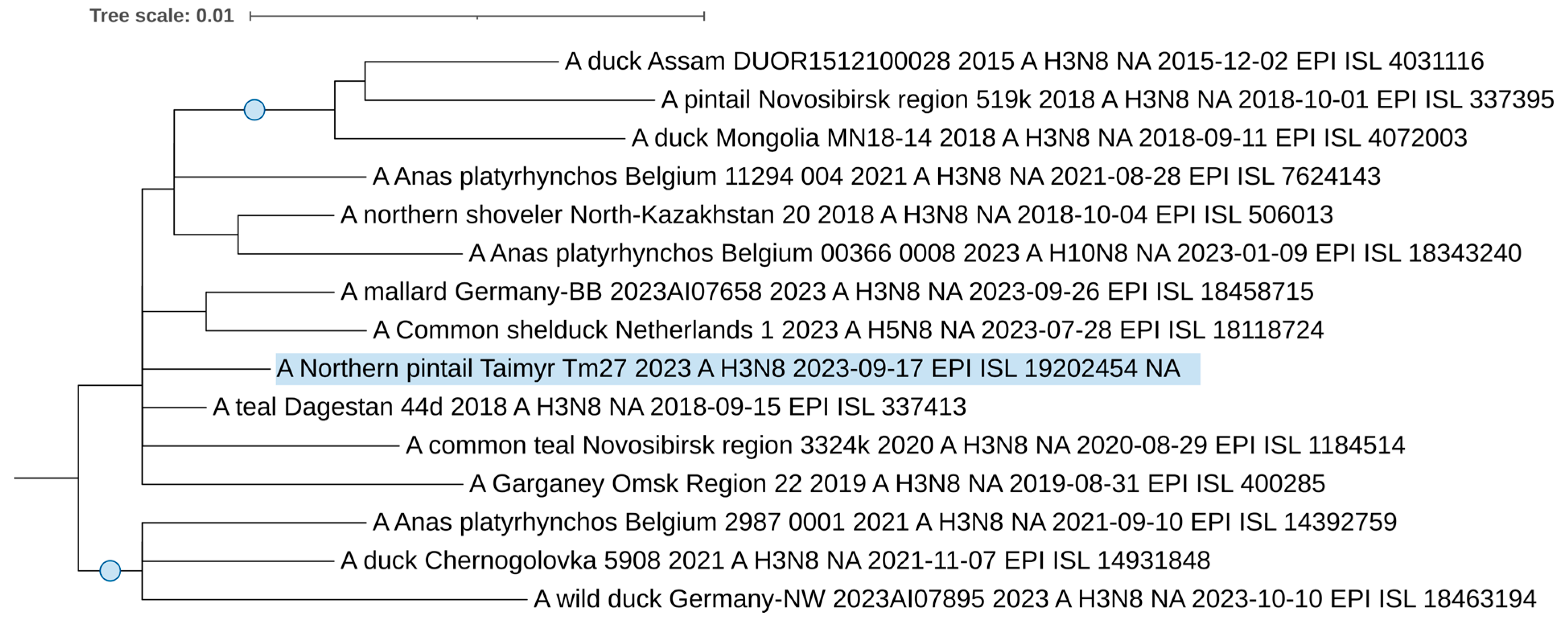 Viruses 17 00955 g005