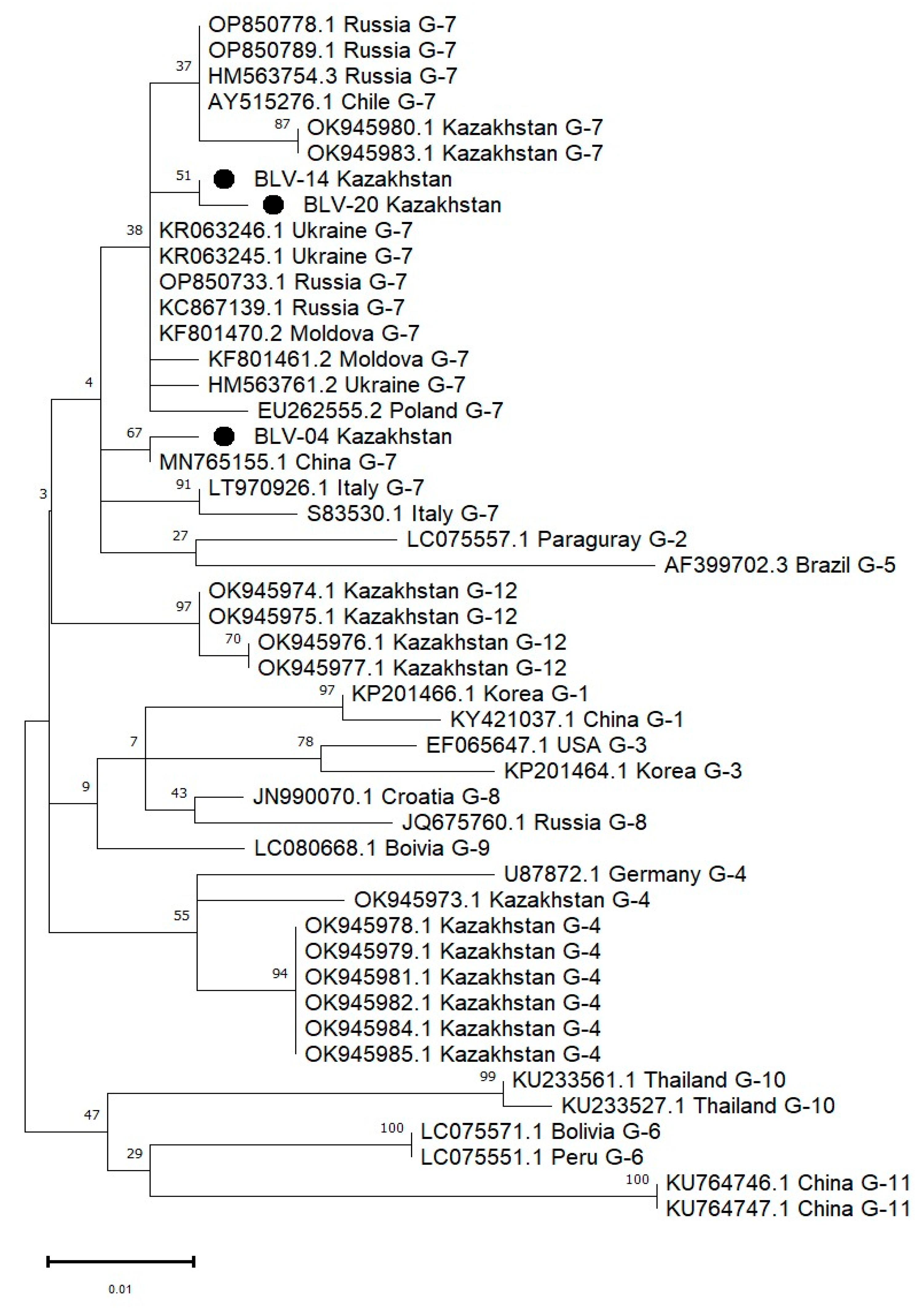 Viruses 17 00956 g004