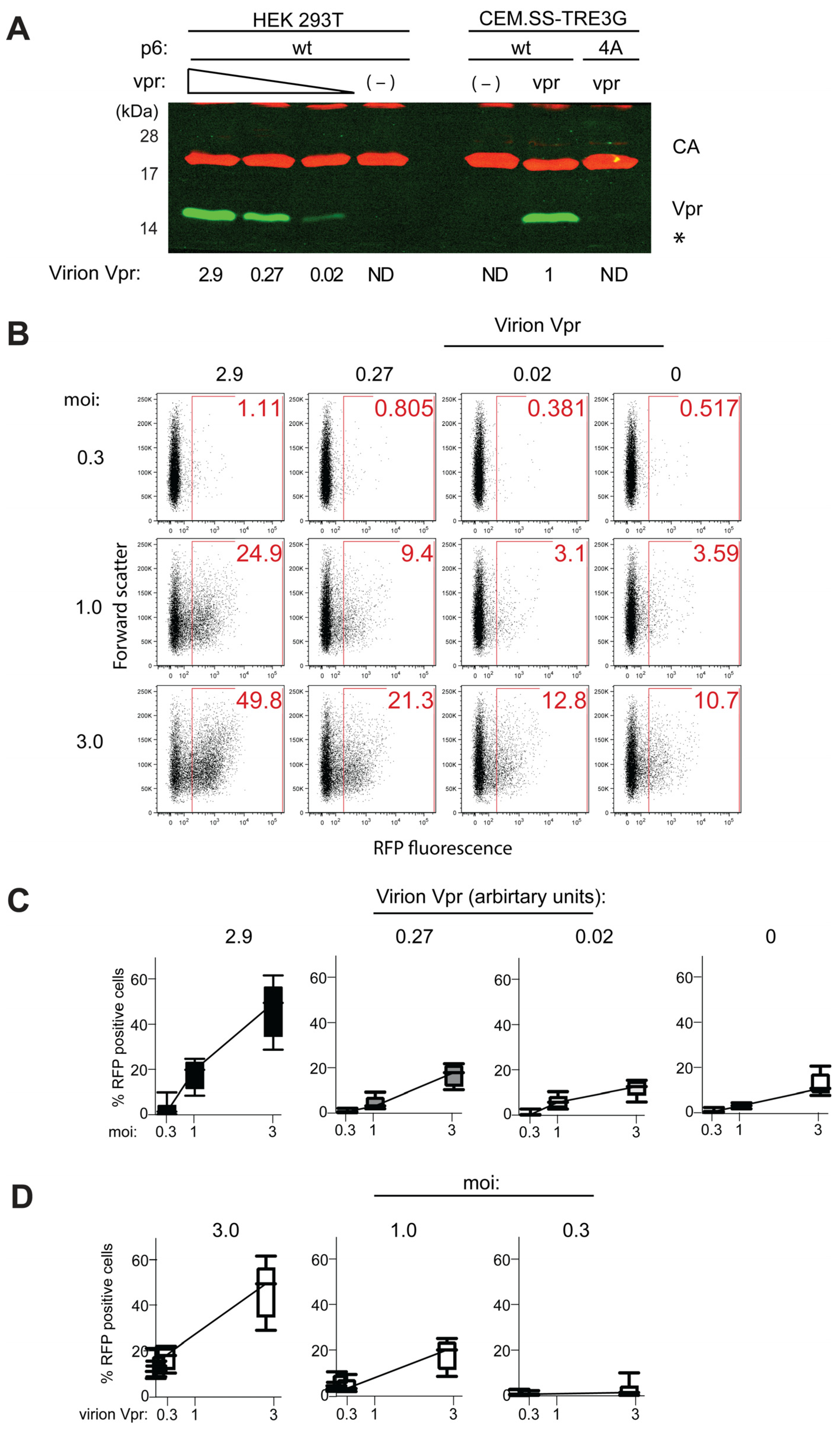 Viruses 17 00958 g004