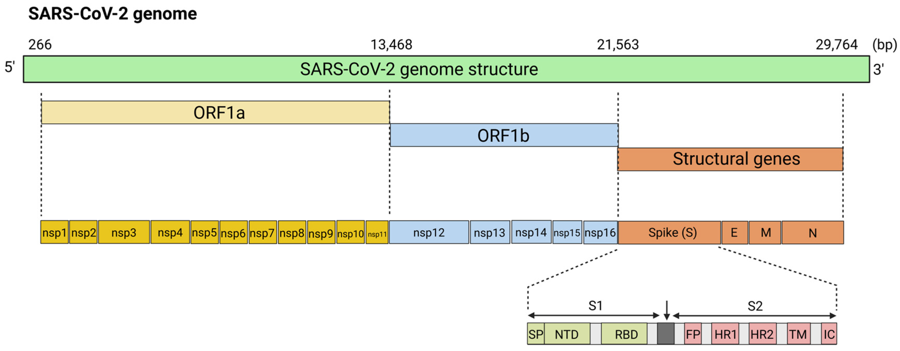 Viruses 17 00960 g003