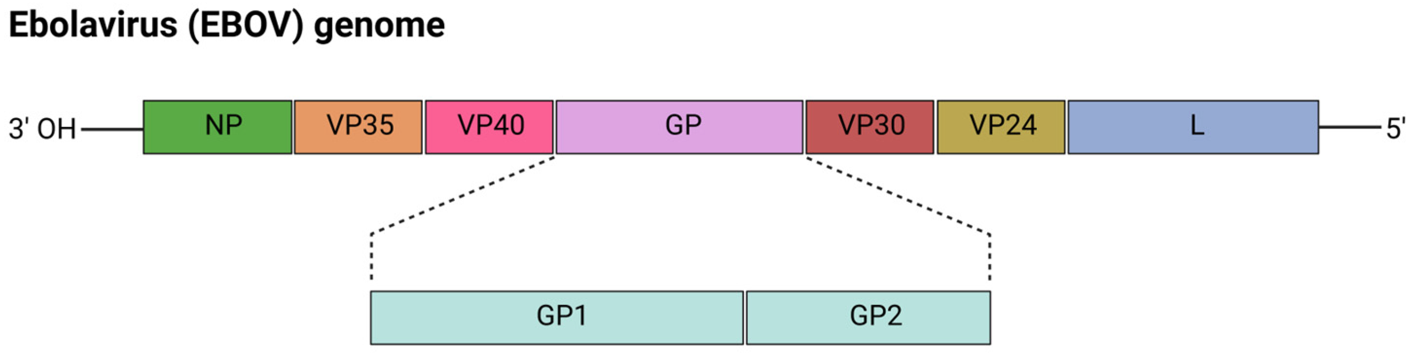 Viruses 17 00960 g004
