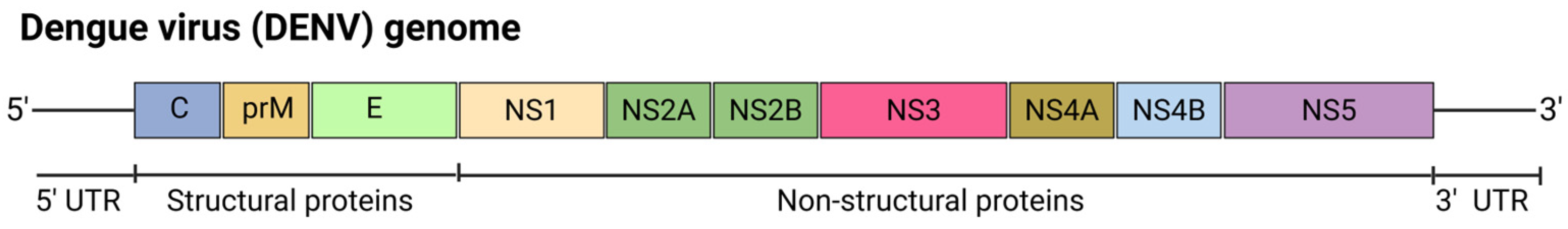 Viruses 17 00960 g009