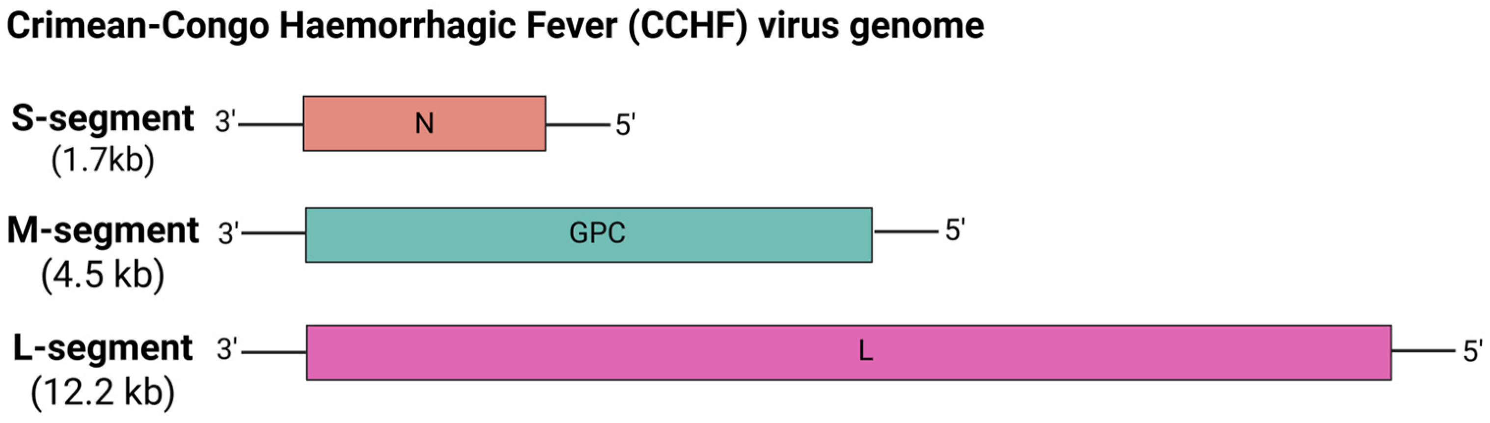 Viruses 17 00960 g012