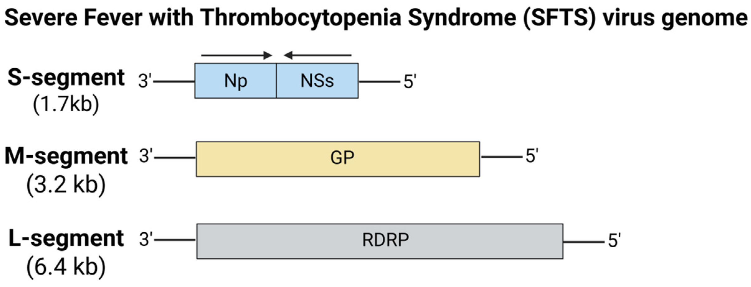 Viruses 17 00960 g013