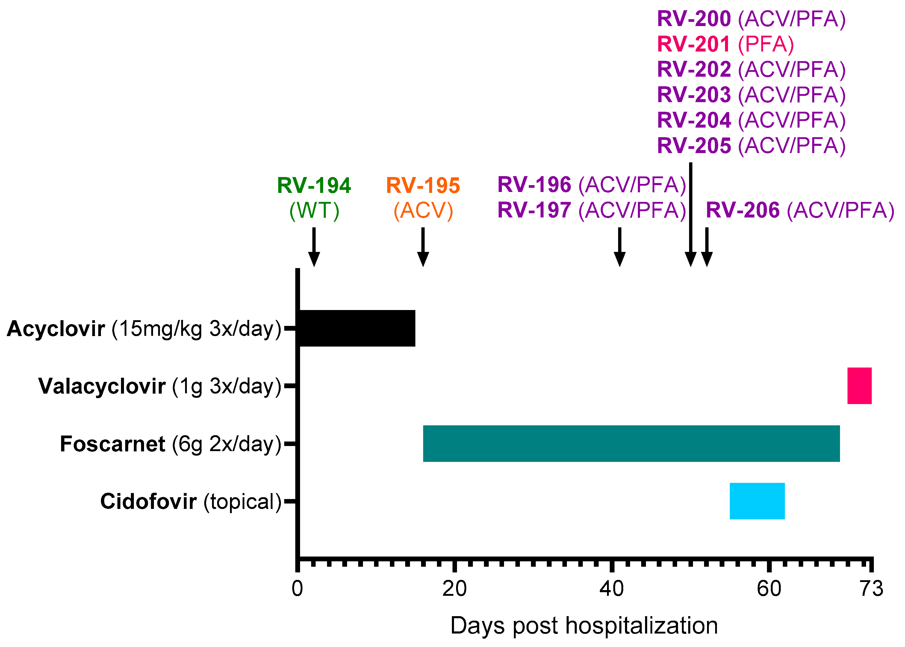 Viruses 17 00962 g001