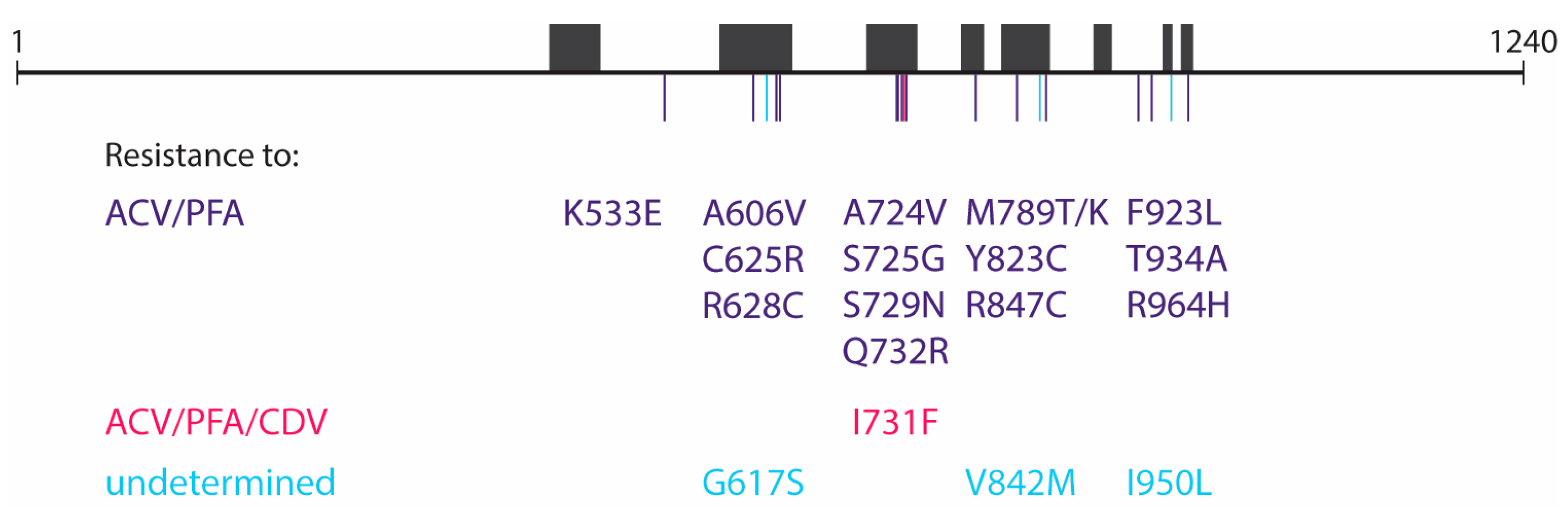 Viruses 17 00962 g002