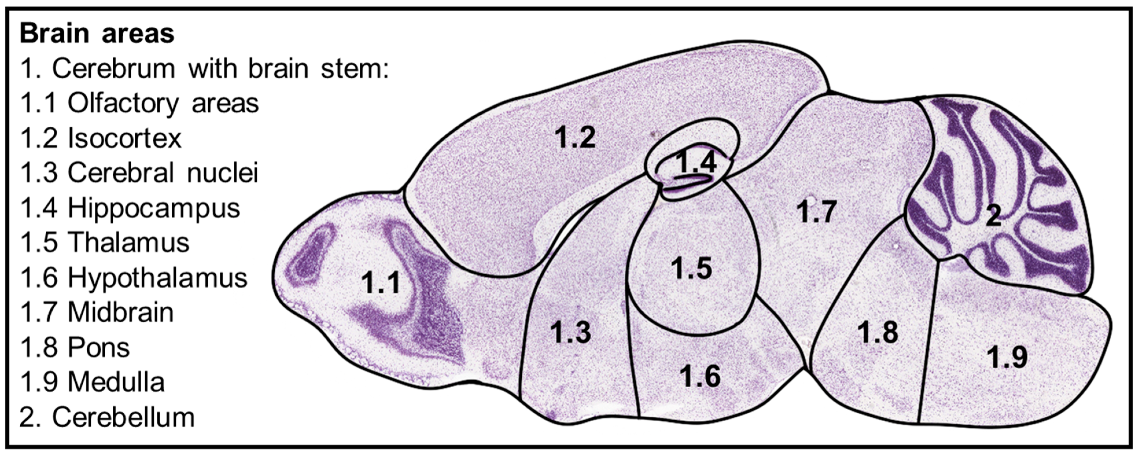 Viruses 17 00963 g001