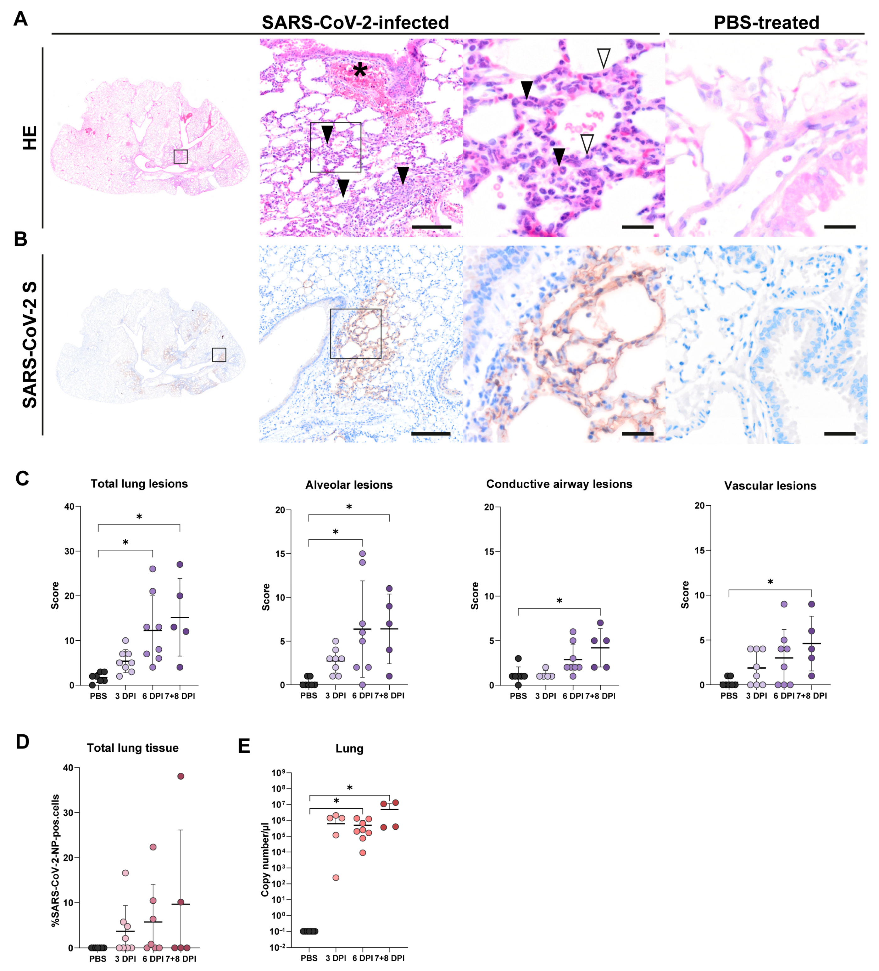 Viruses 17 00963 g003