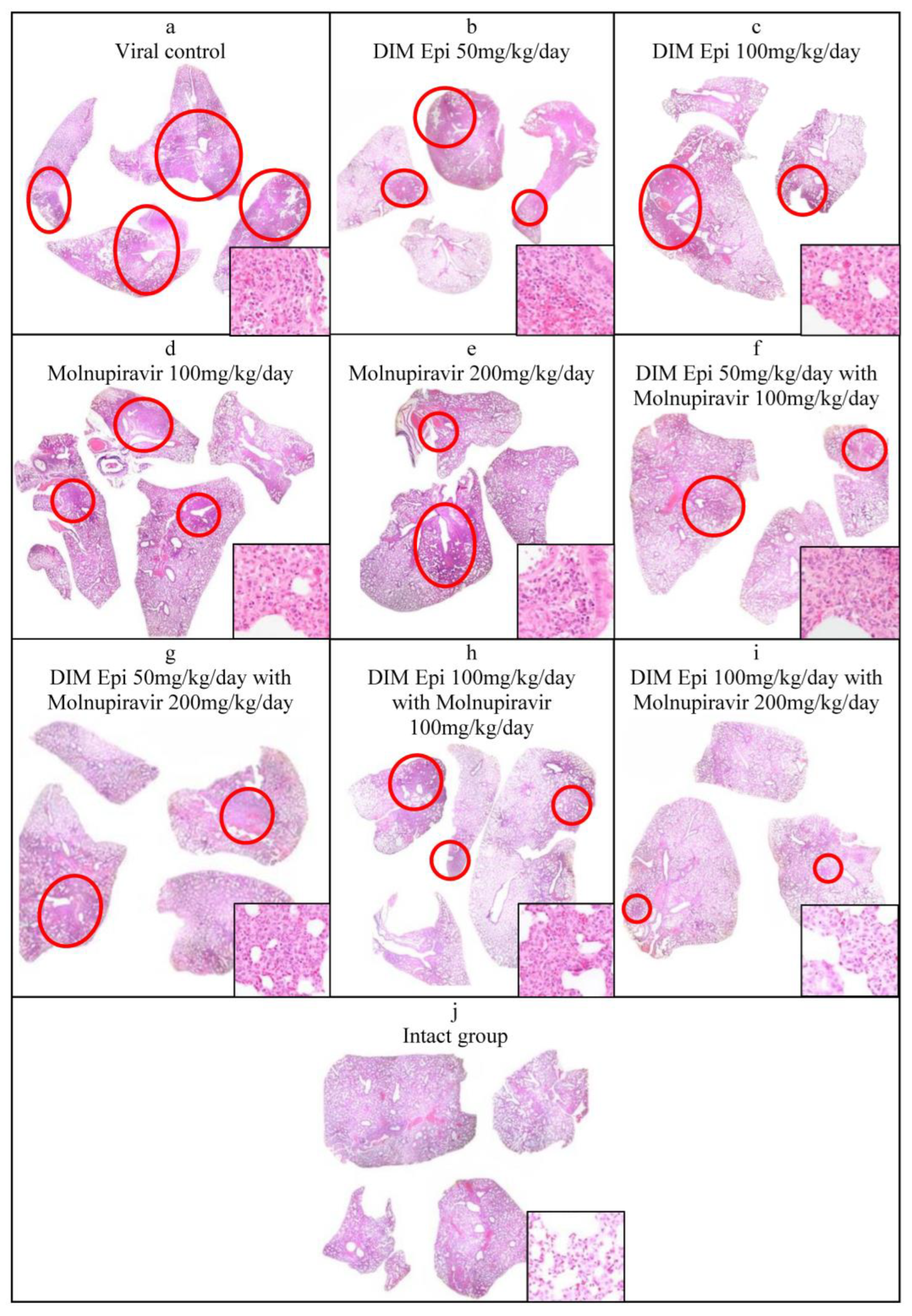 Viruses 17 00964 g006
