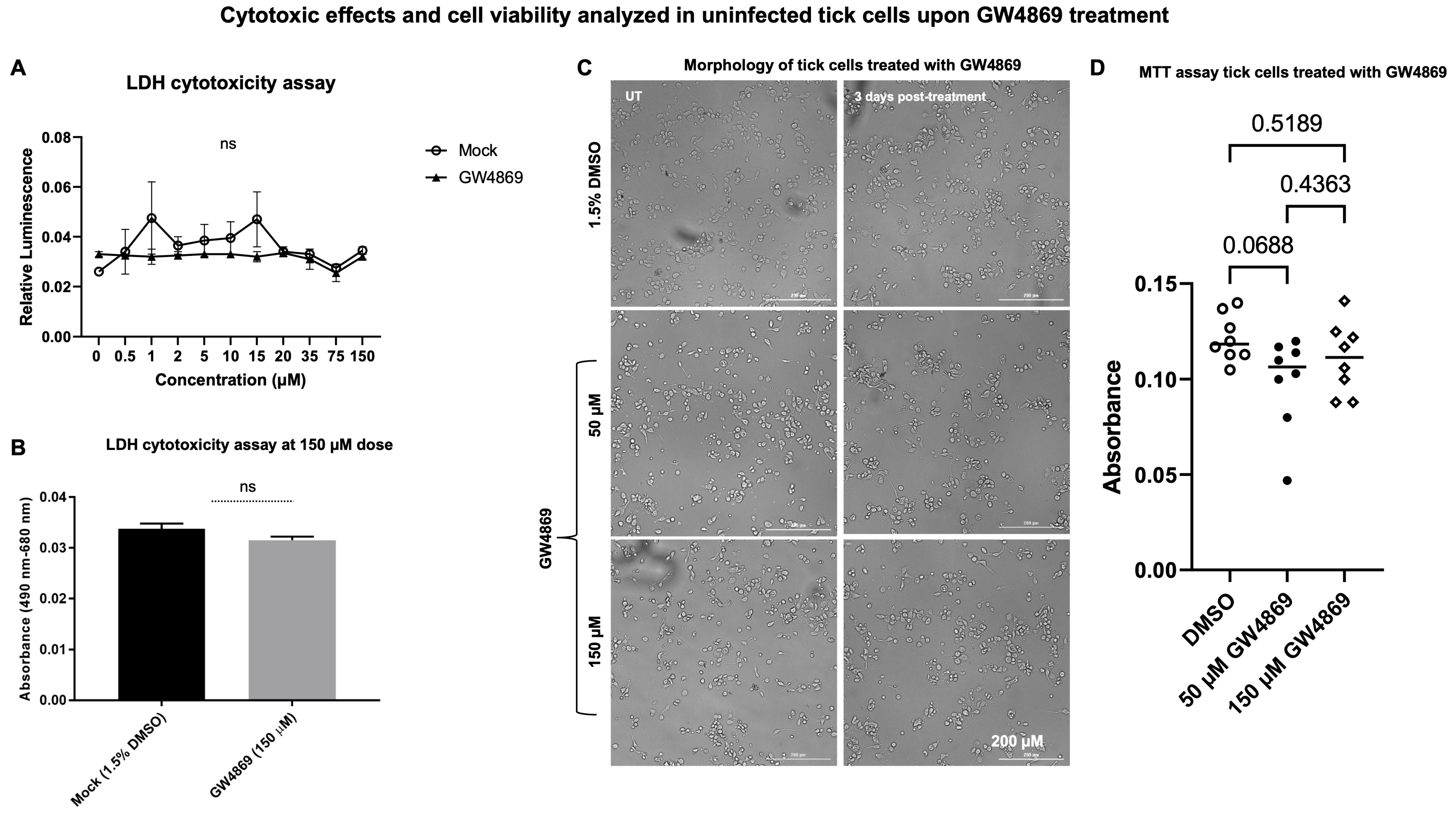 Viruses 17 00969 g001