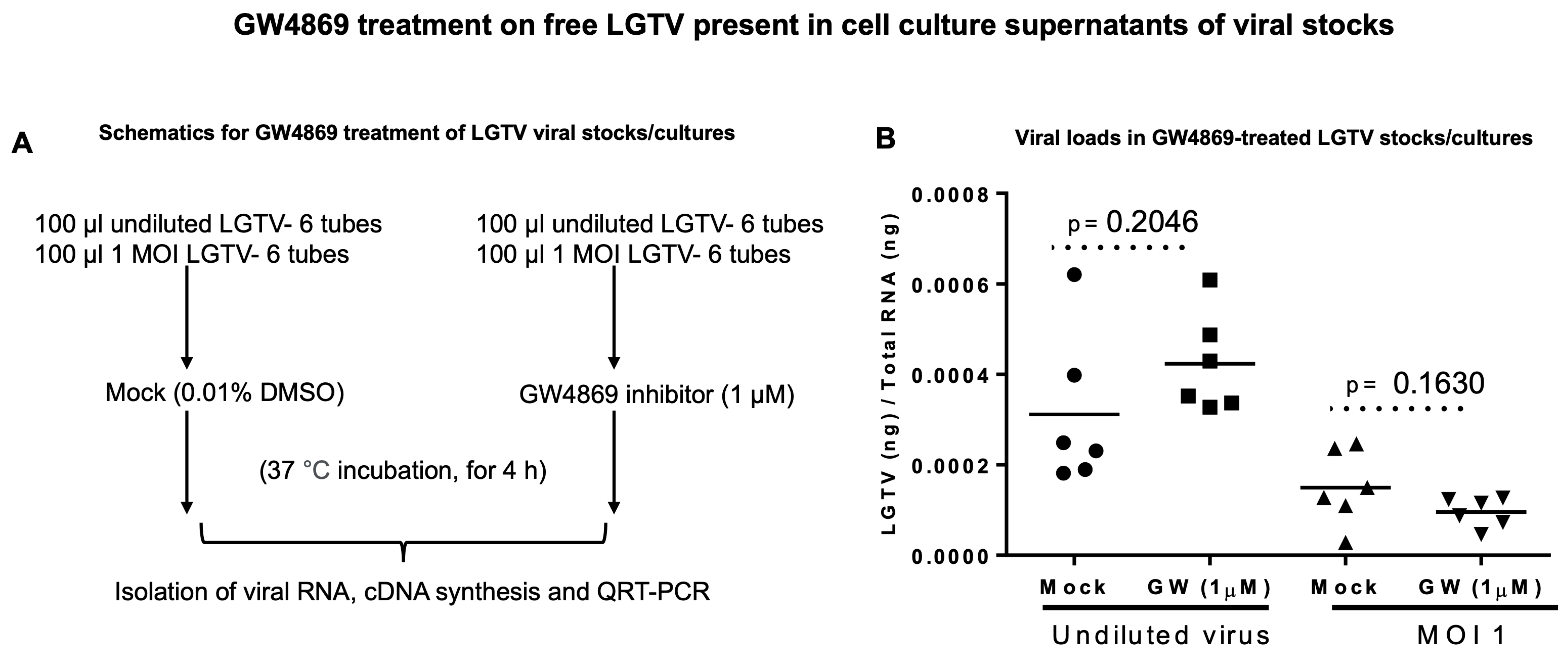 Viruses 17 00969 g002
