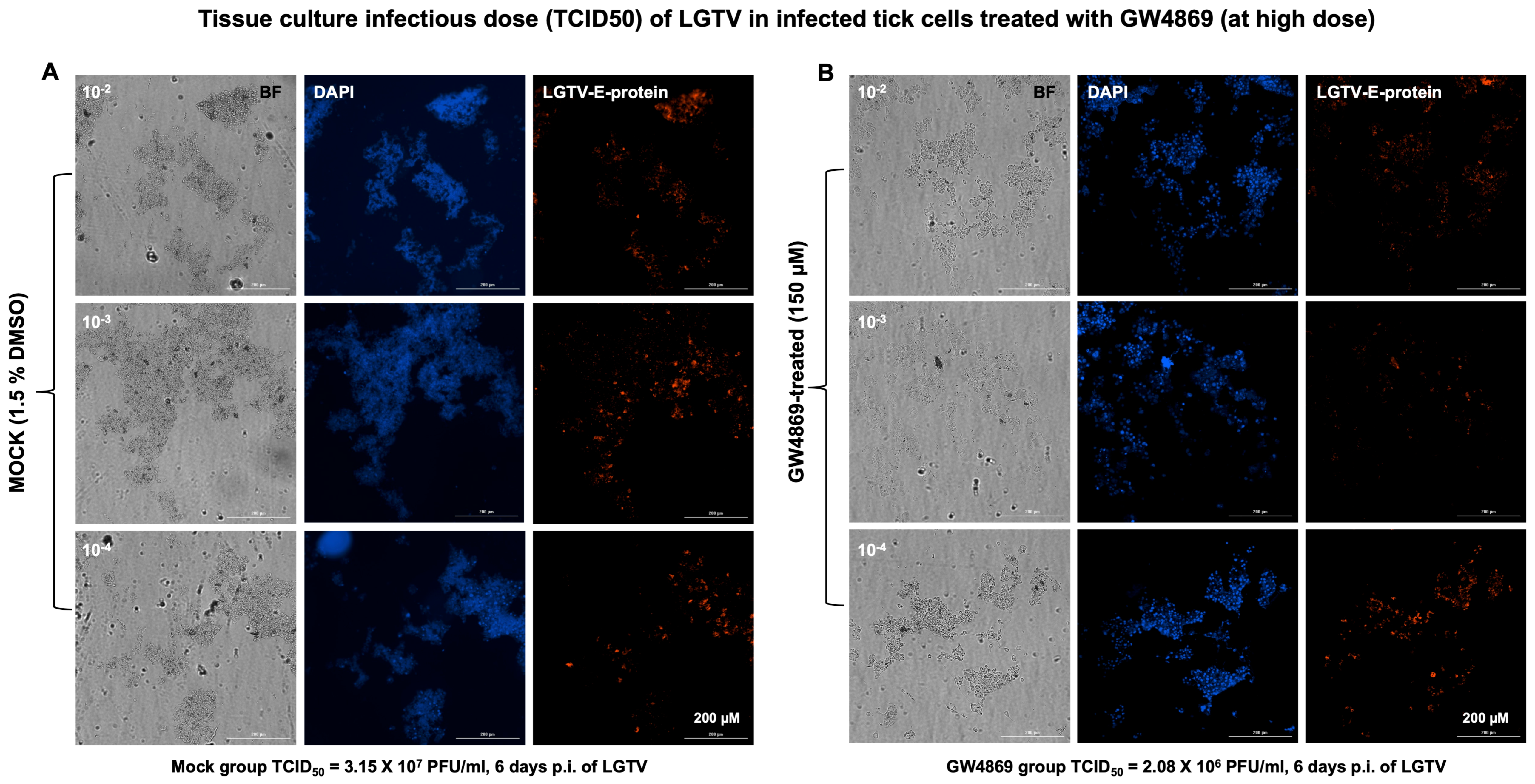 Viruses 17 00969 g003