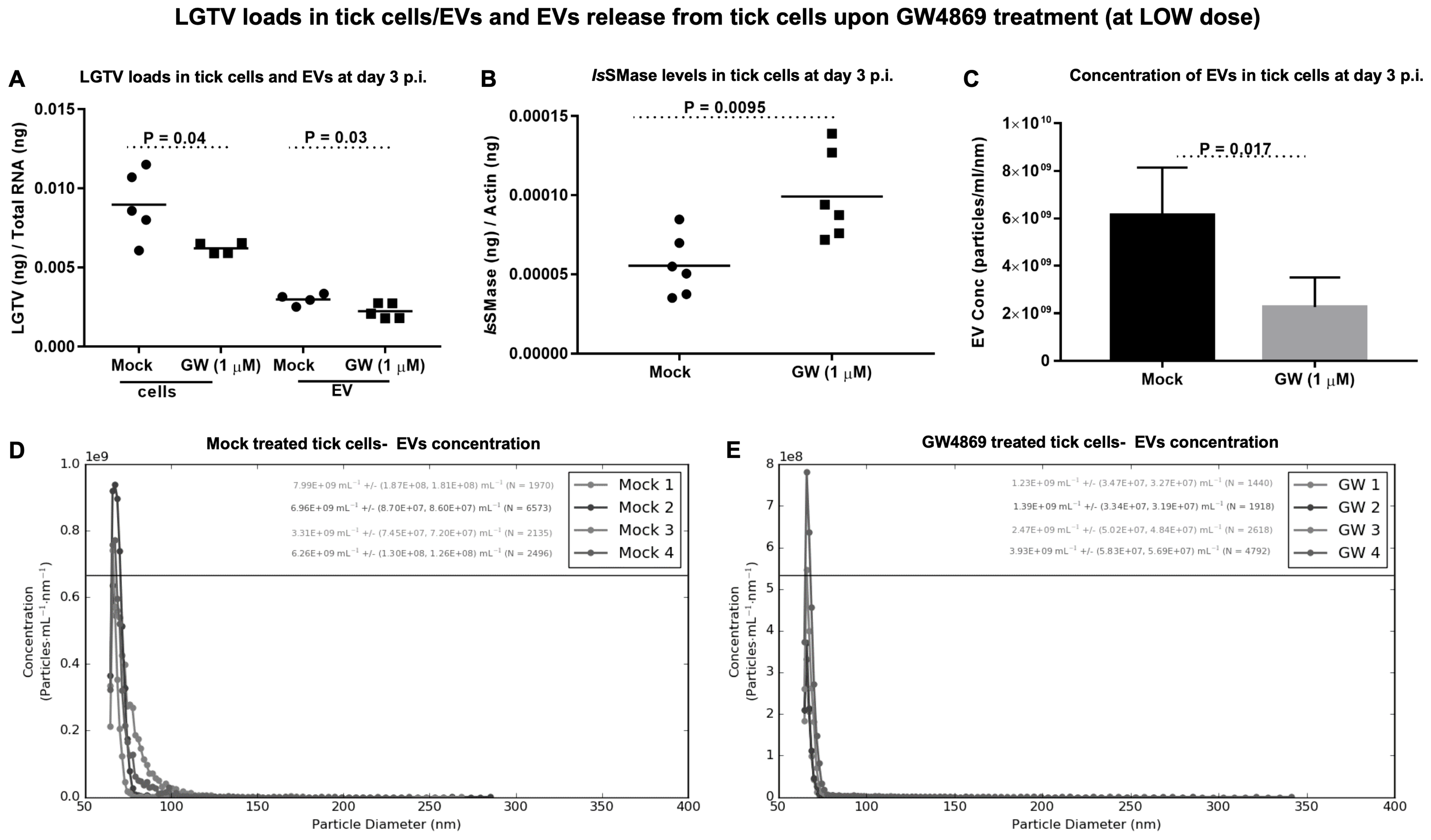 Viruses 17 00969 g004