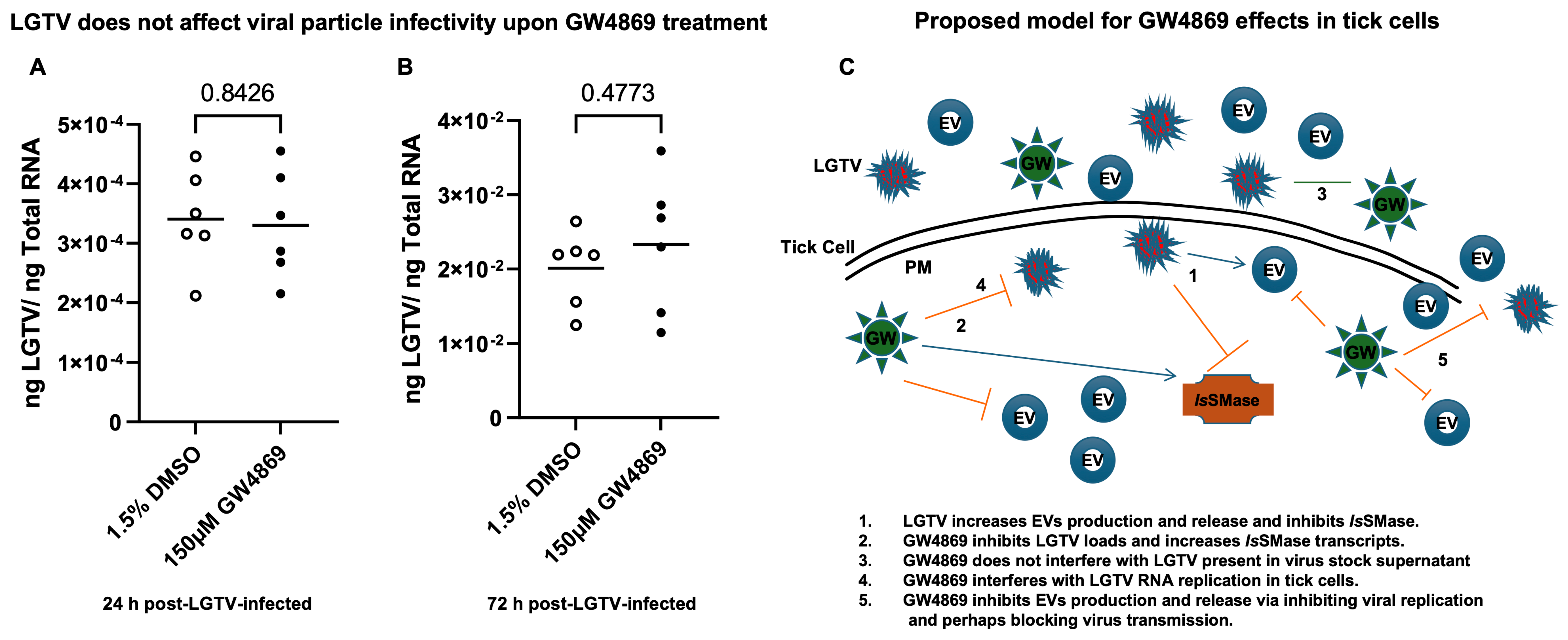 Viruses 17 00969 g008